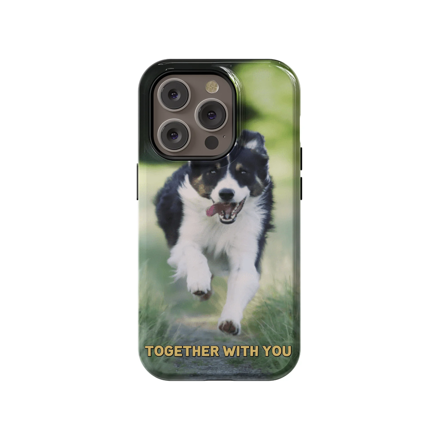14PT_Mockup