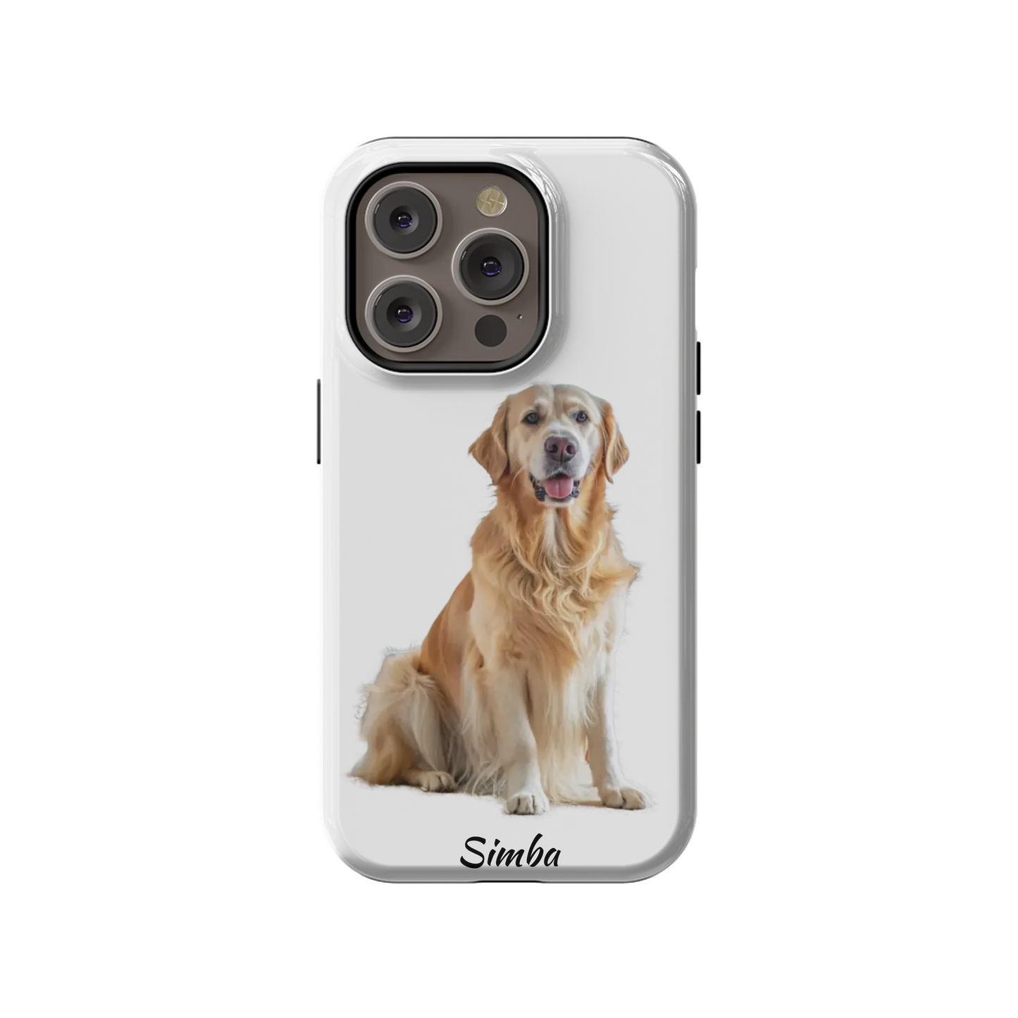 14PT_Mockup