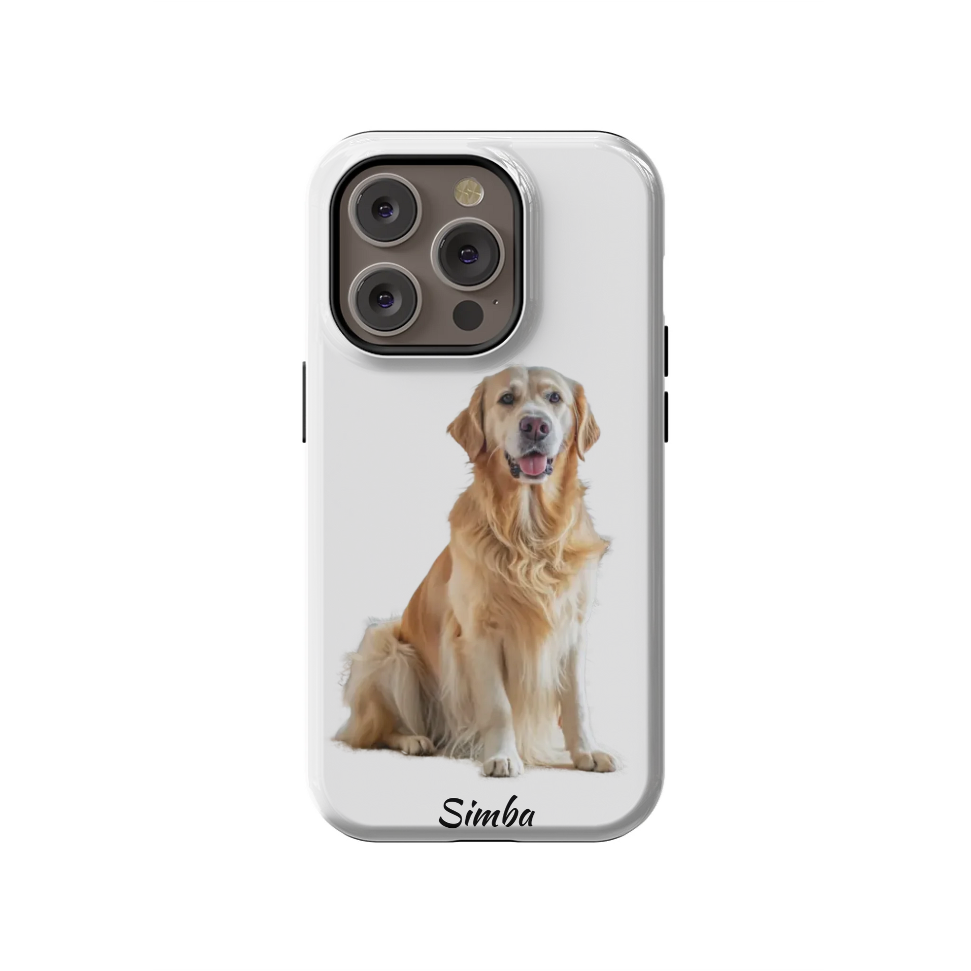 14PT_Mockup