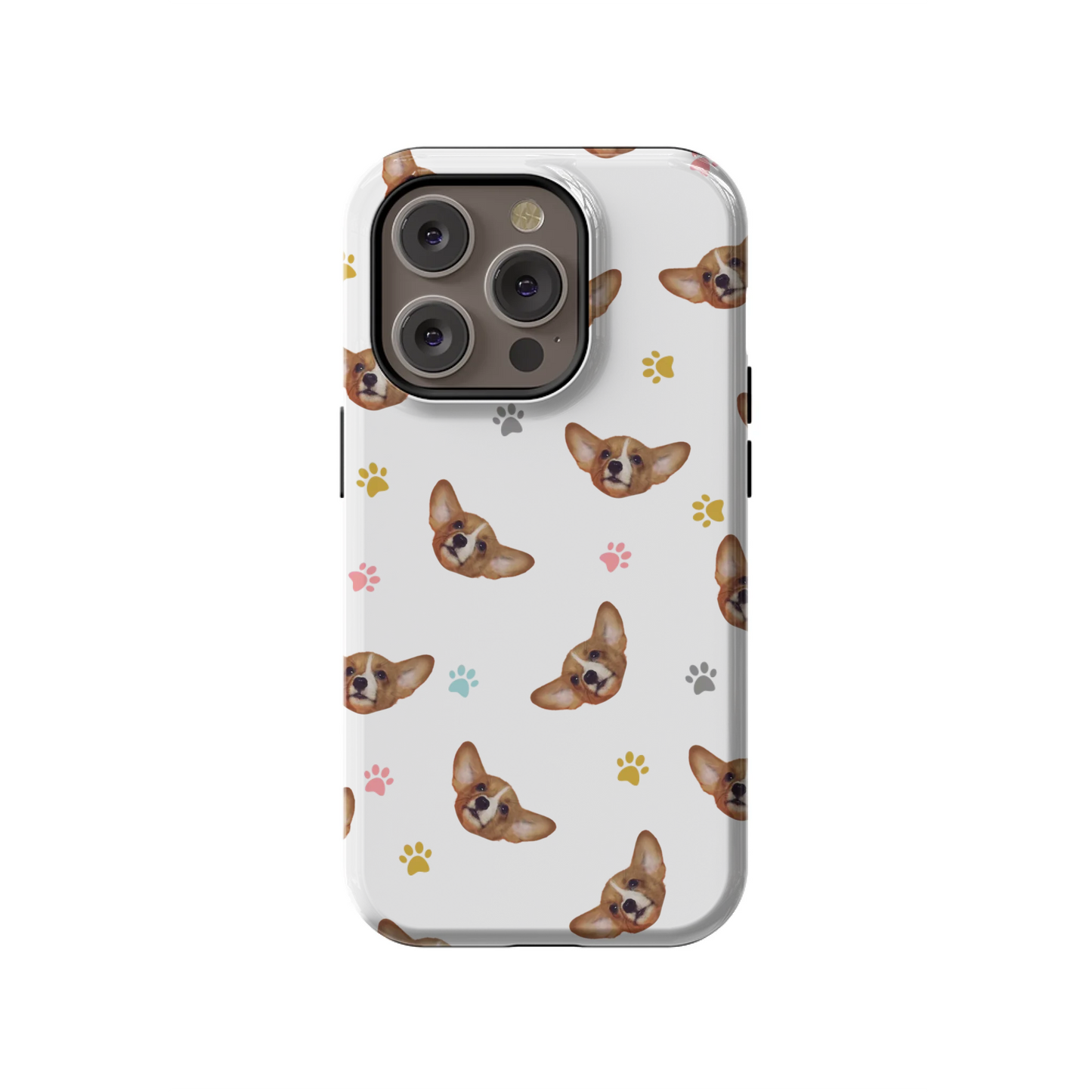14PT_Mockup