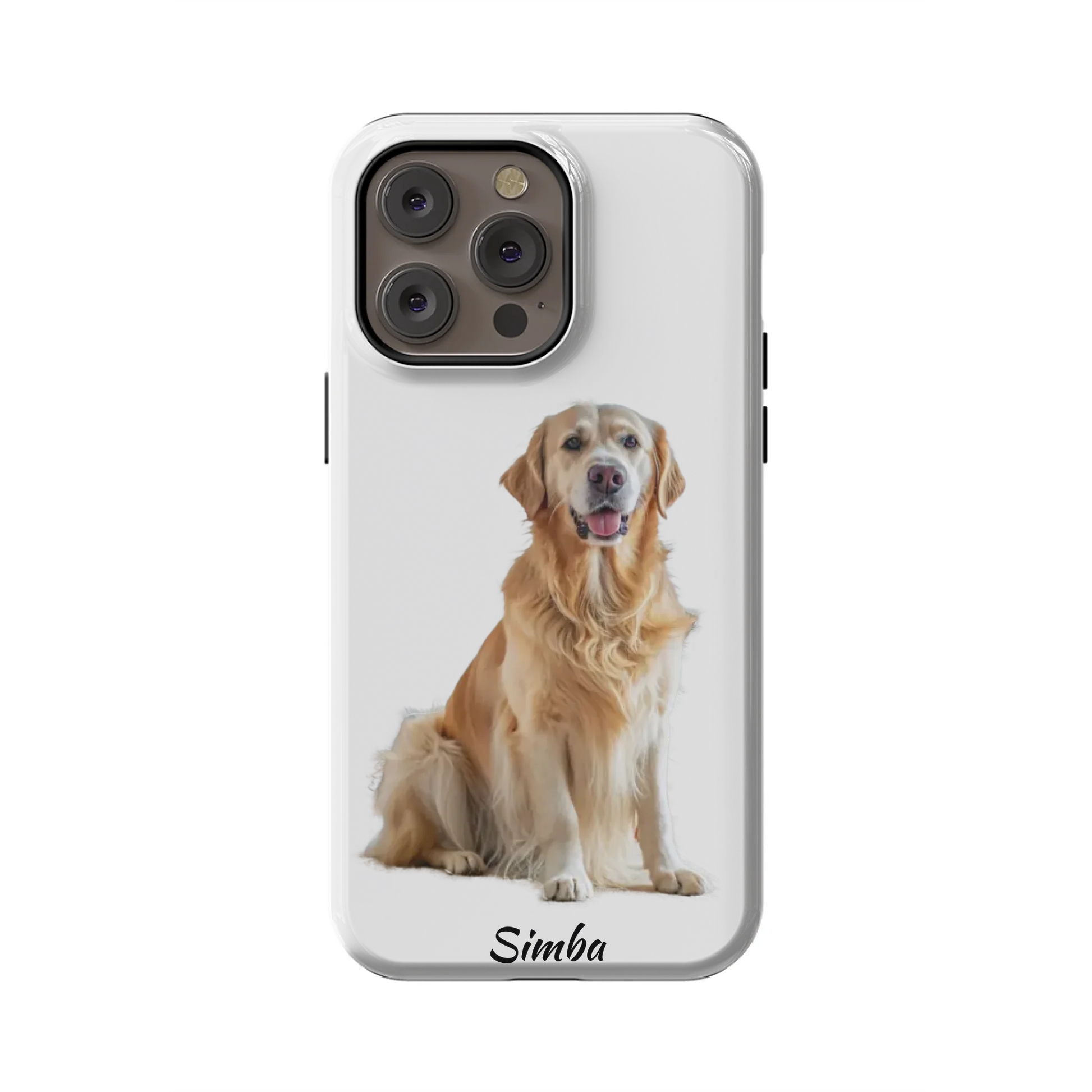 14PMT_Mockup