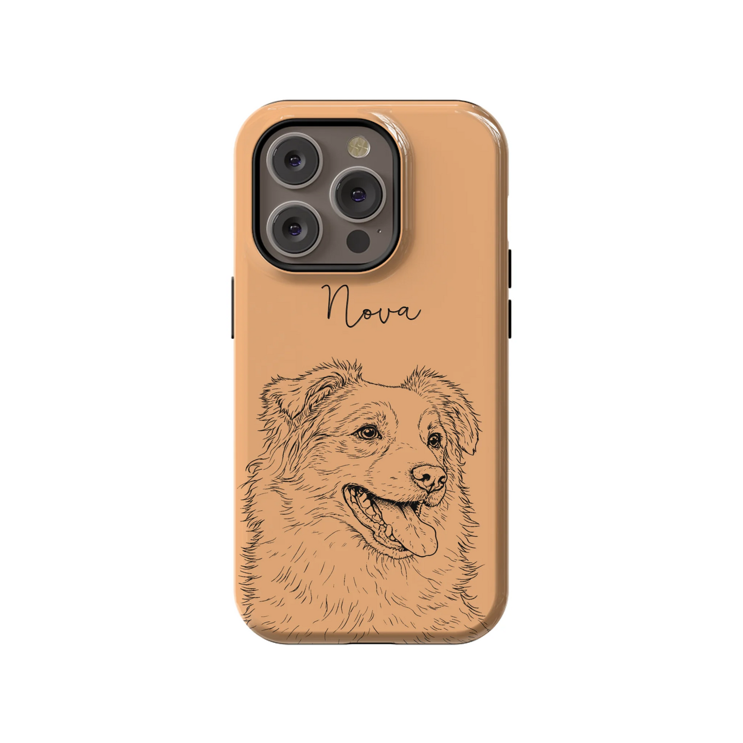 14PT_Mockup