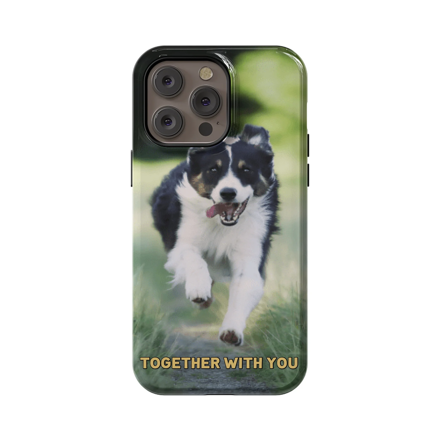 14PMT_Mockup