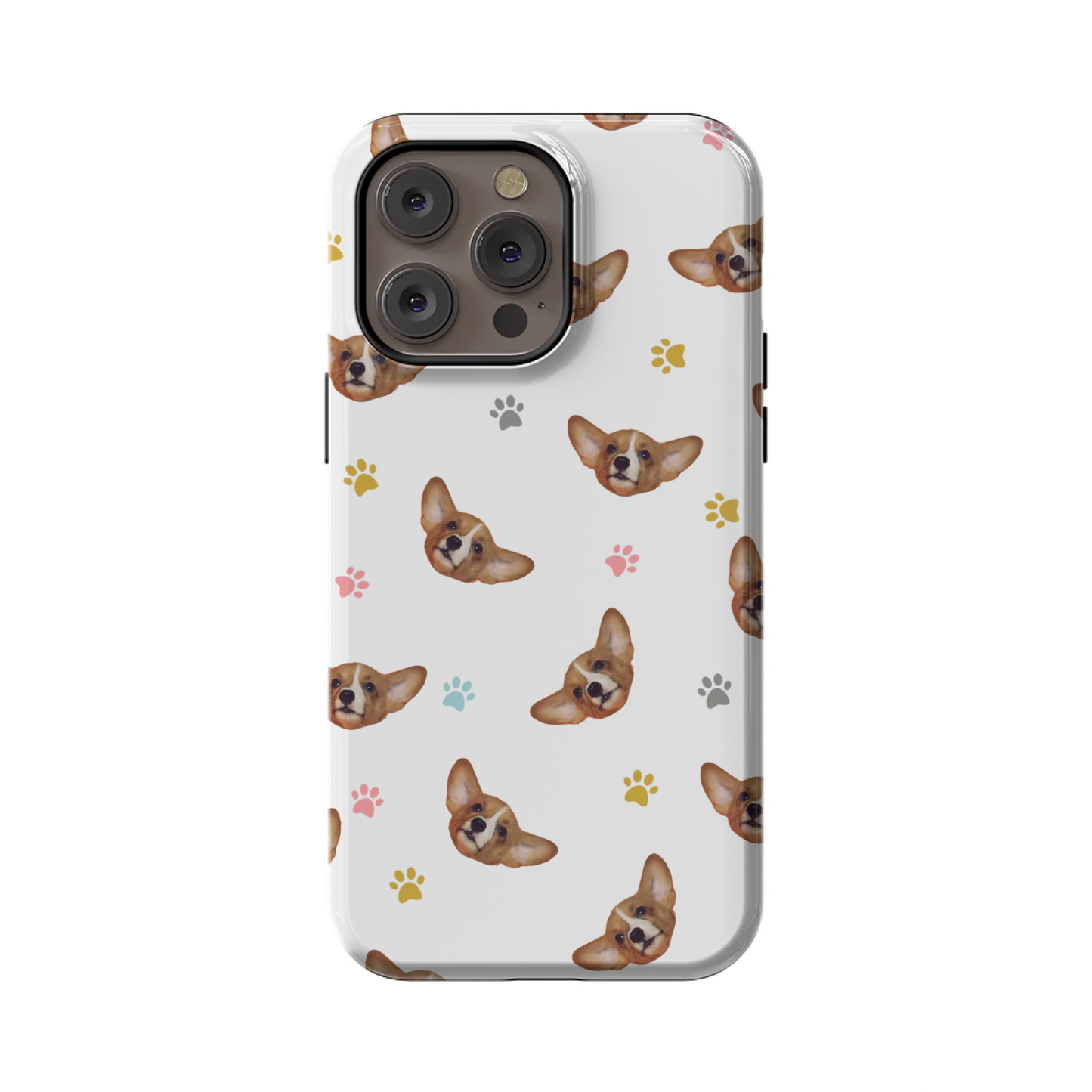 14PMT_Mockup