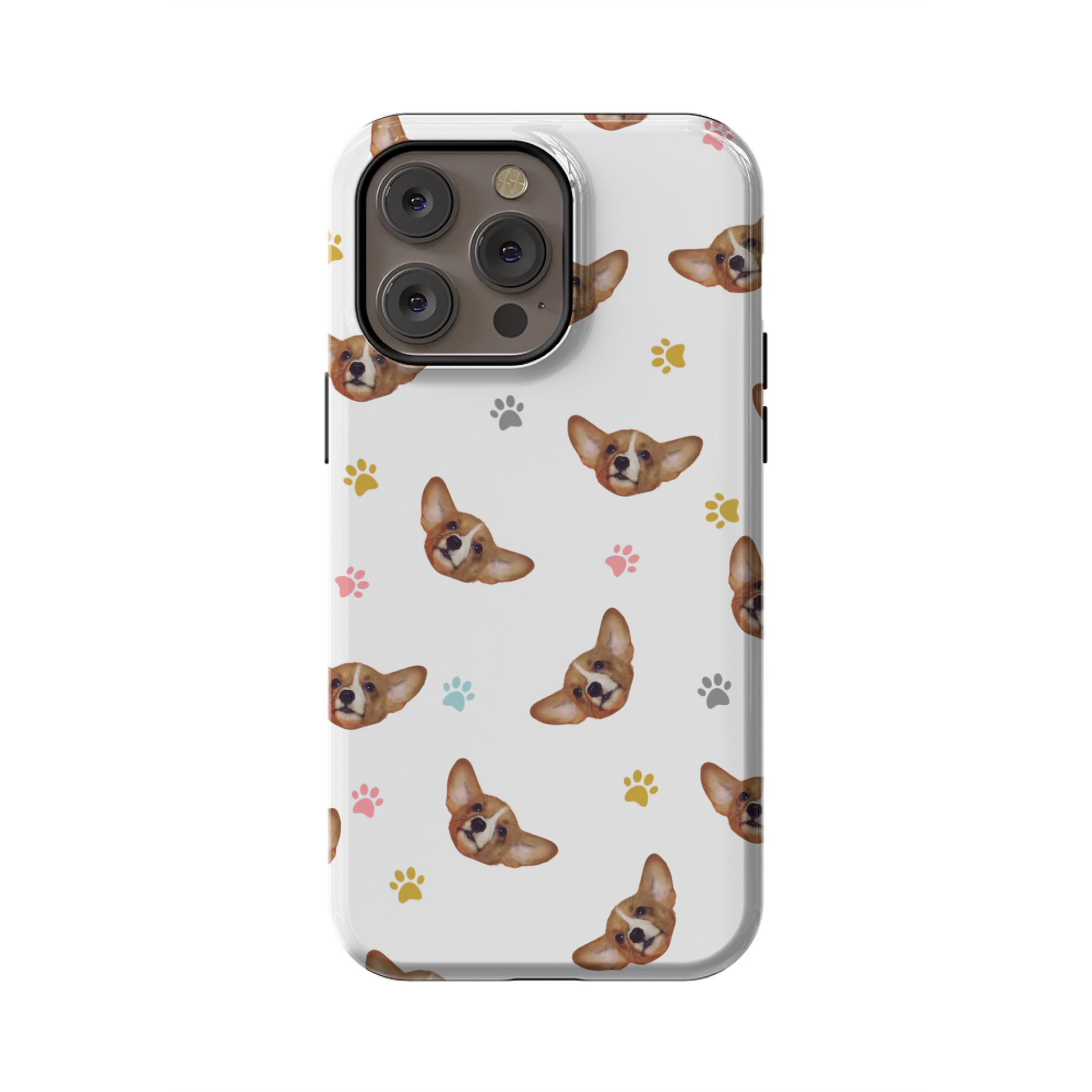 14PMT_Mockup