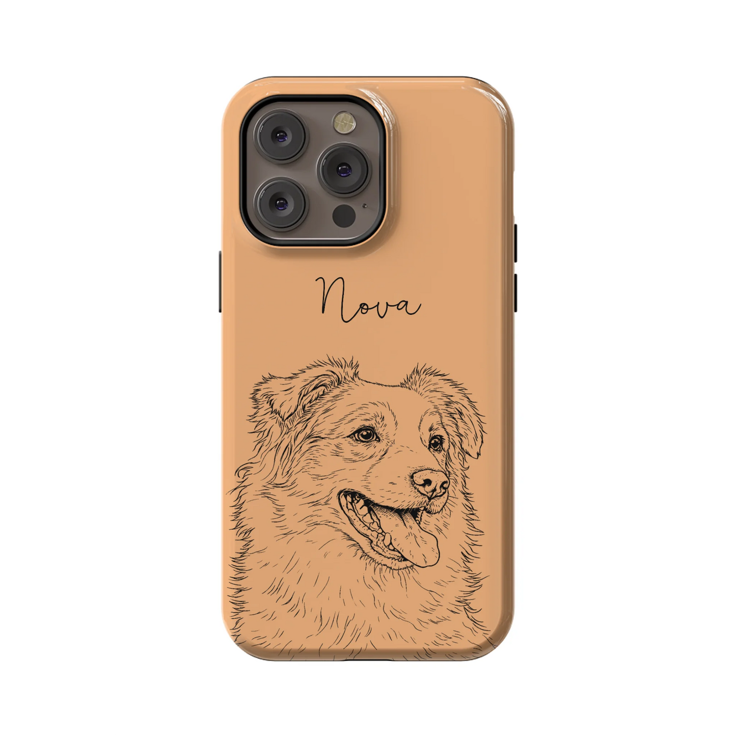 14PMT_Mockup