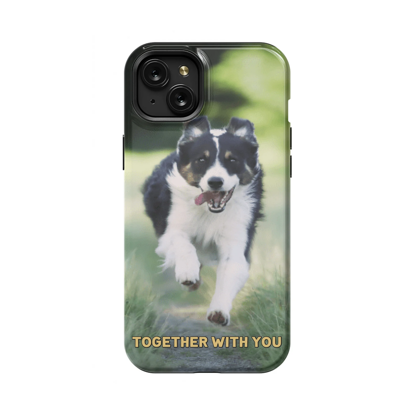 15PLT_Mockup