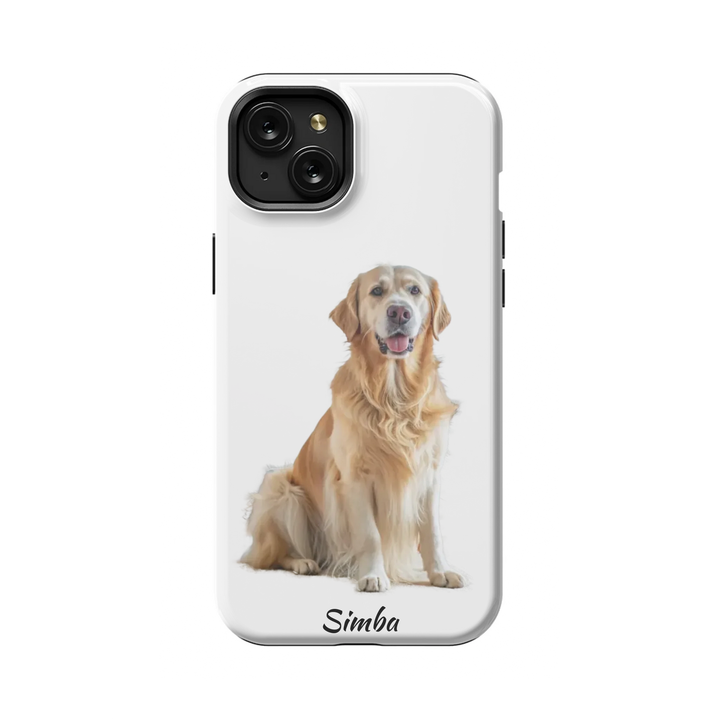 15PLT_Mockup