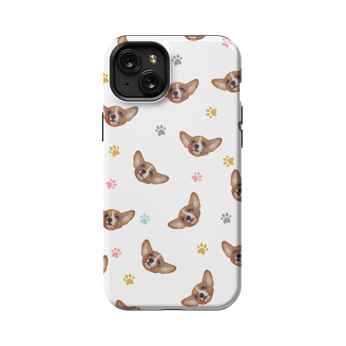 15PLT_Mockup
