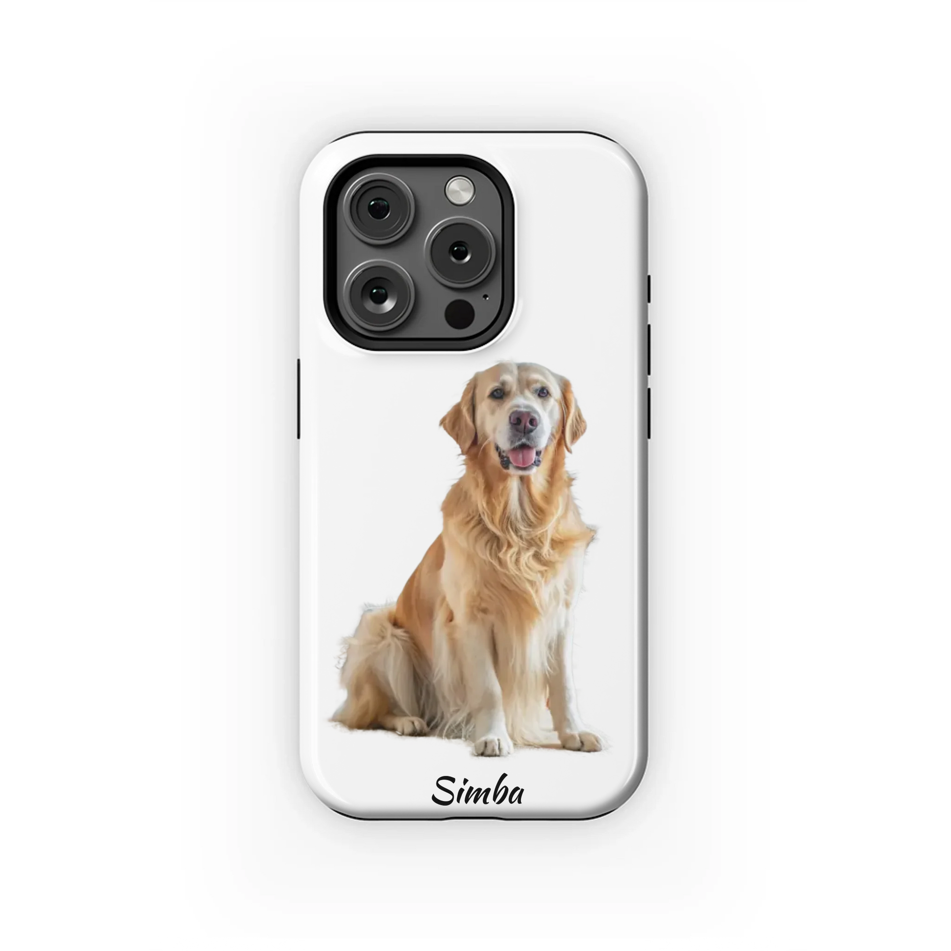 15PT_Mockup