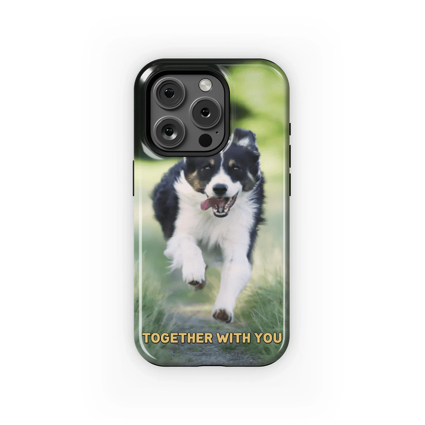 15PT_Mockup