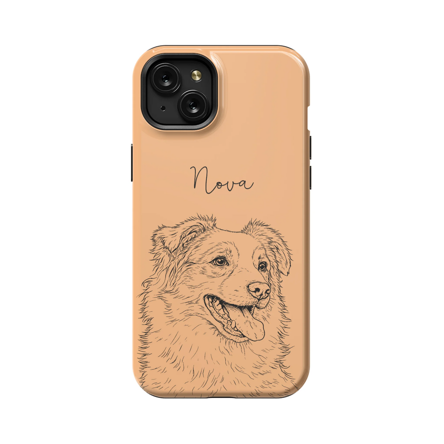 15PLT_Mockup
