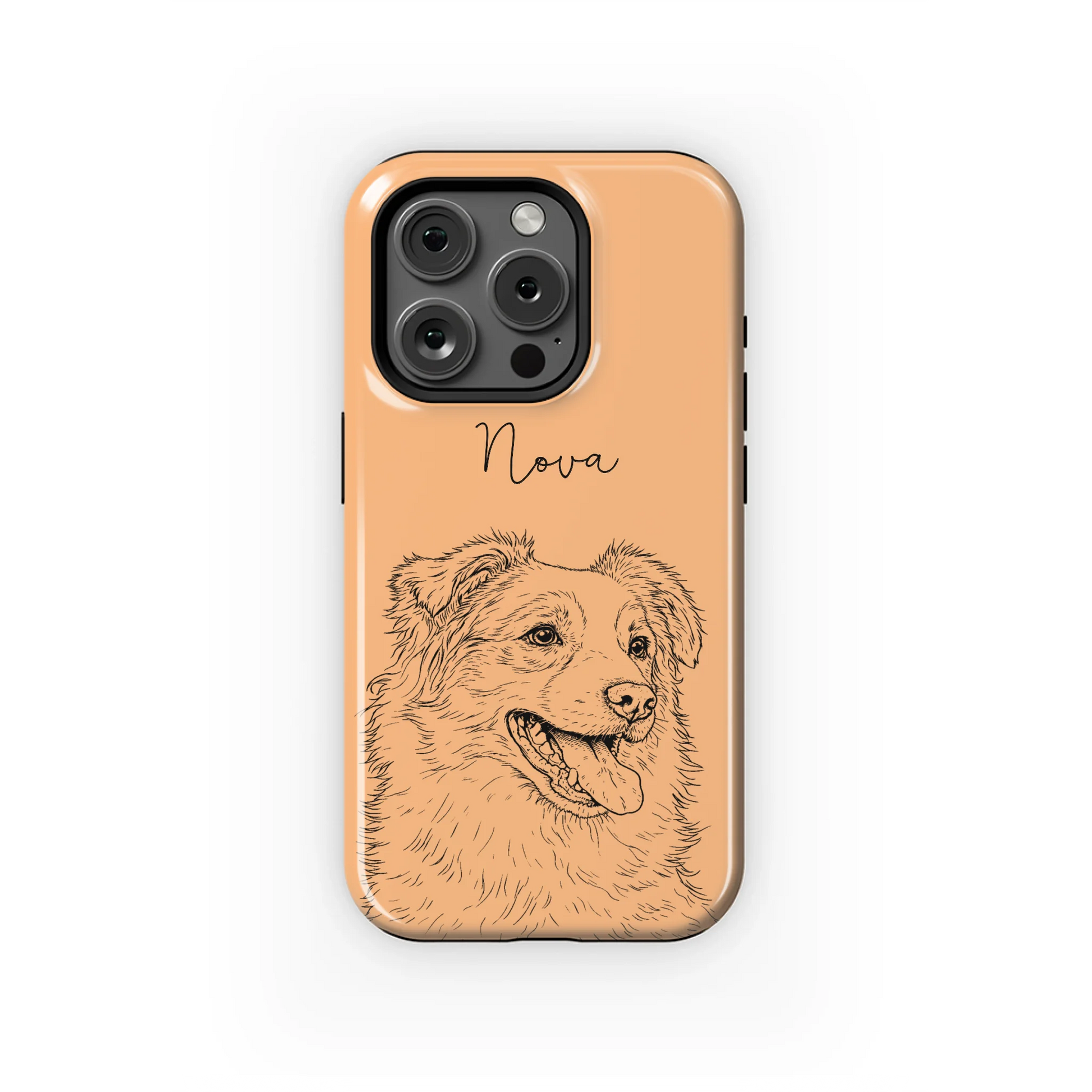 15PT_Mockup