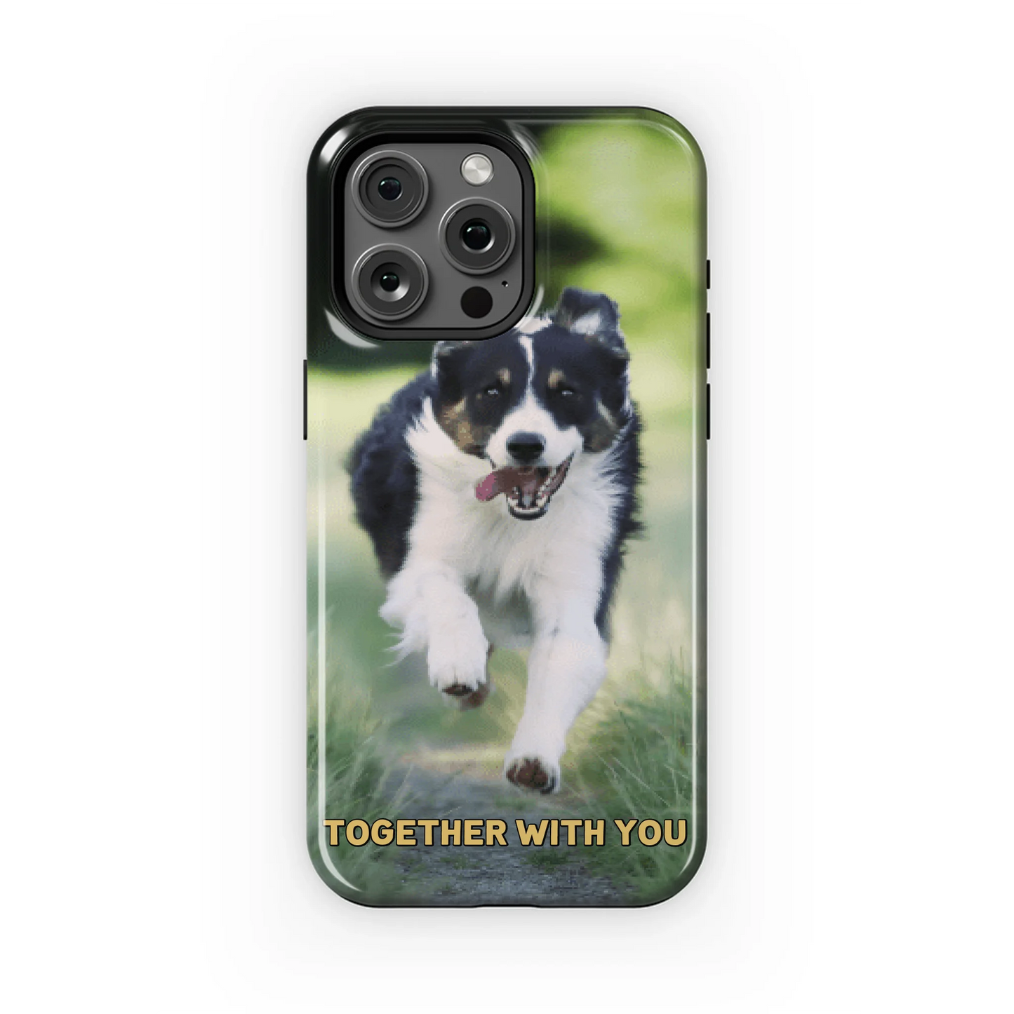 15PMT_Mockup