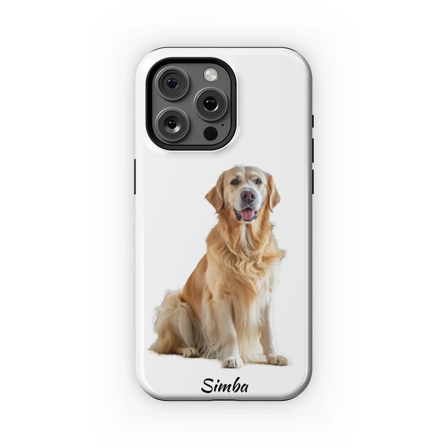 15PMT_Mockup