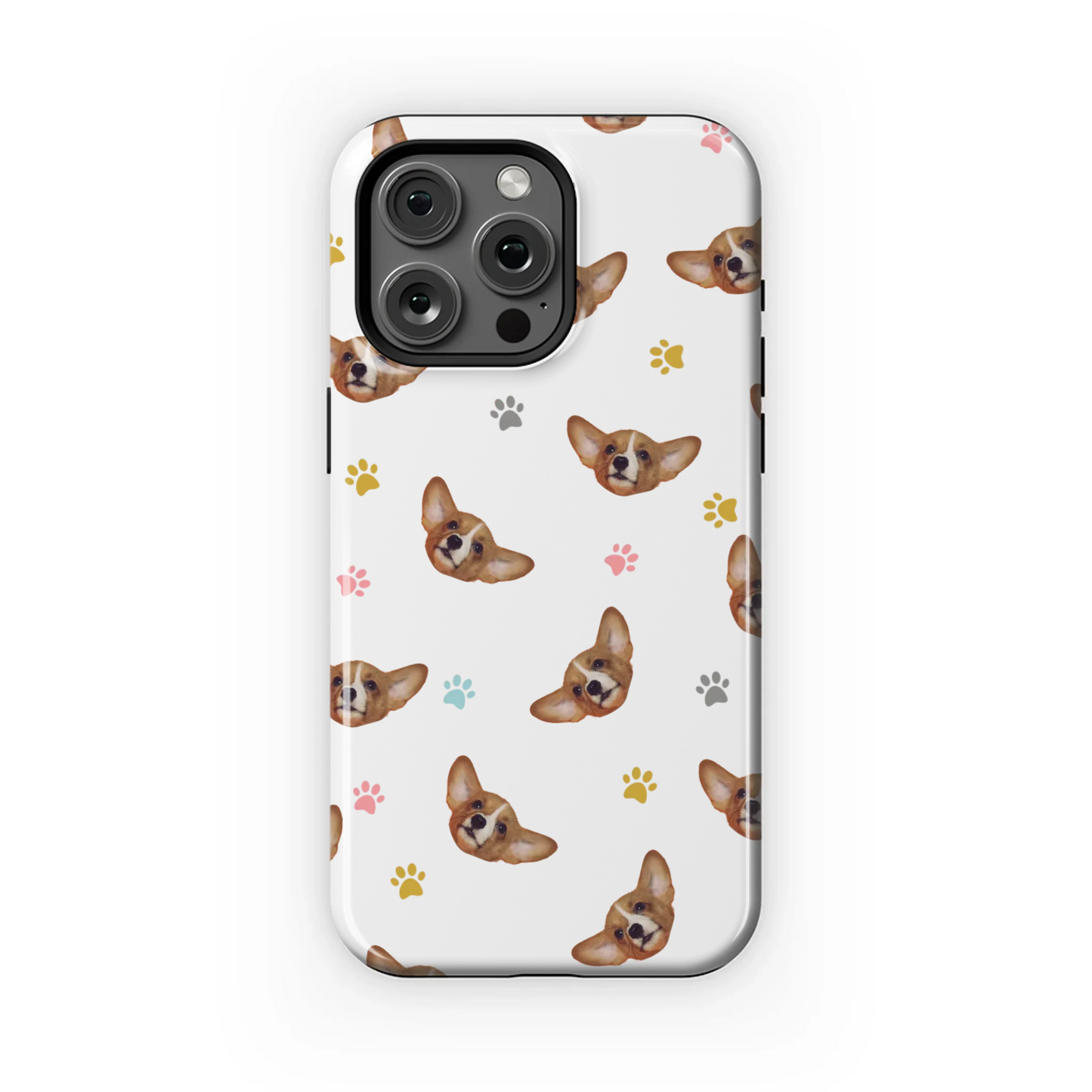 15PMT_Mockup