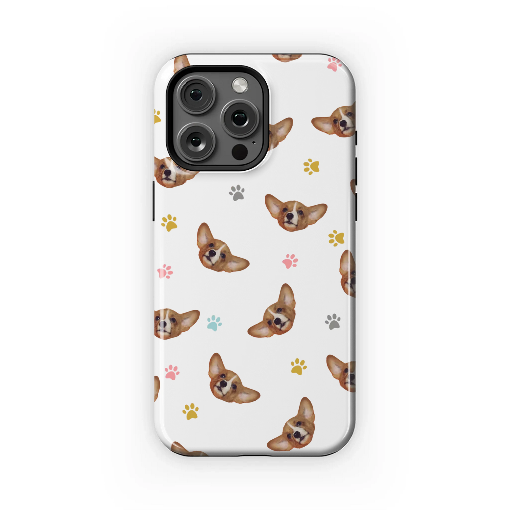 15PMT_Mockup