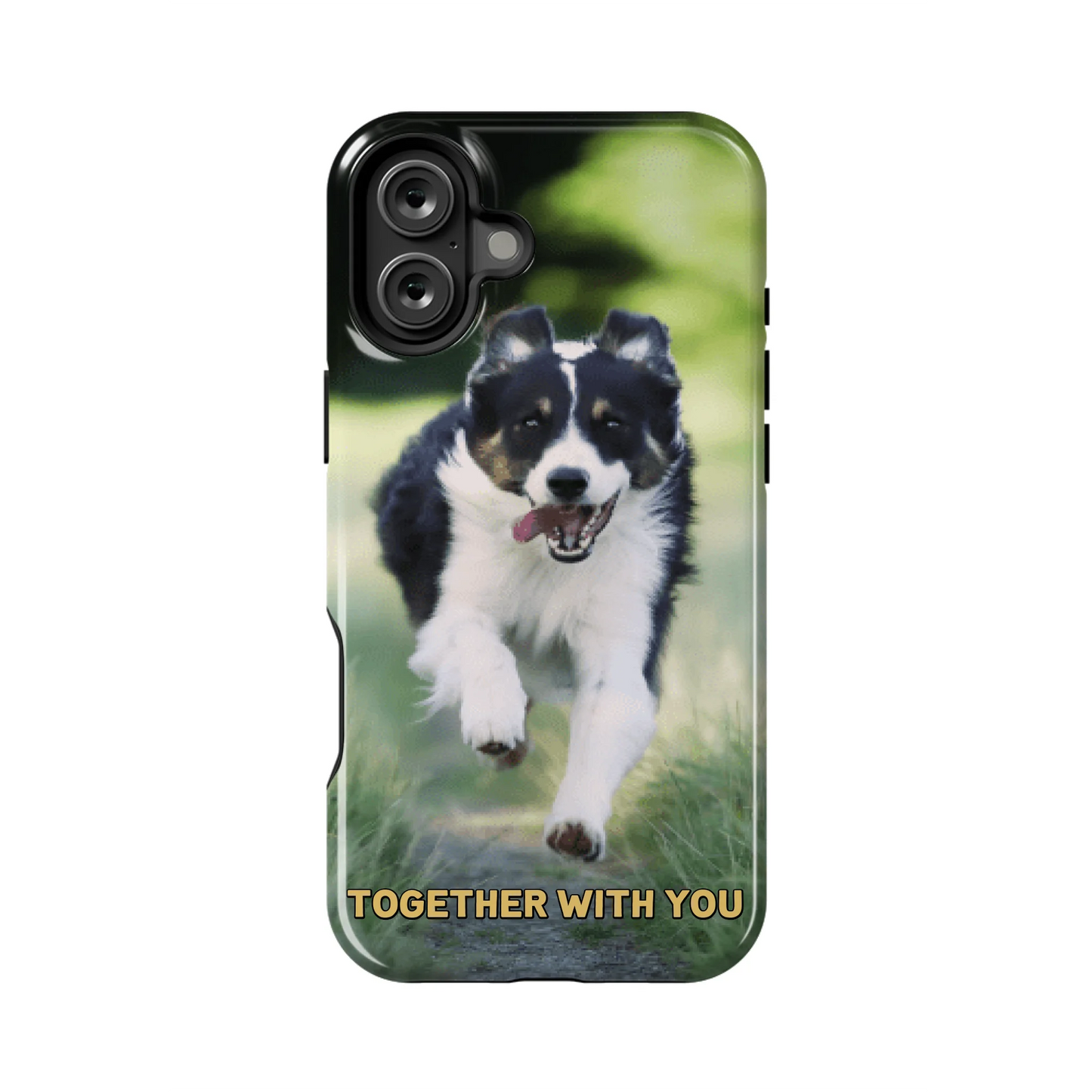 16PLT_Mockup