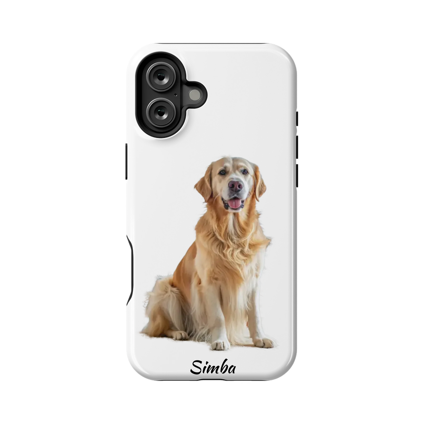 16PLT_Mockup