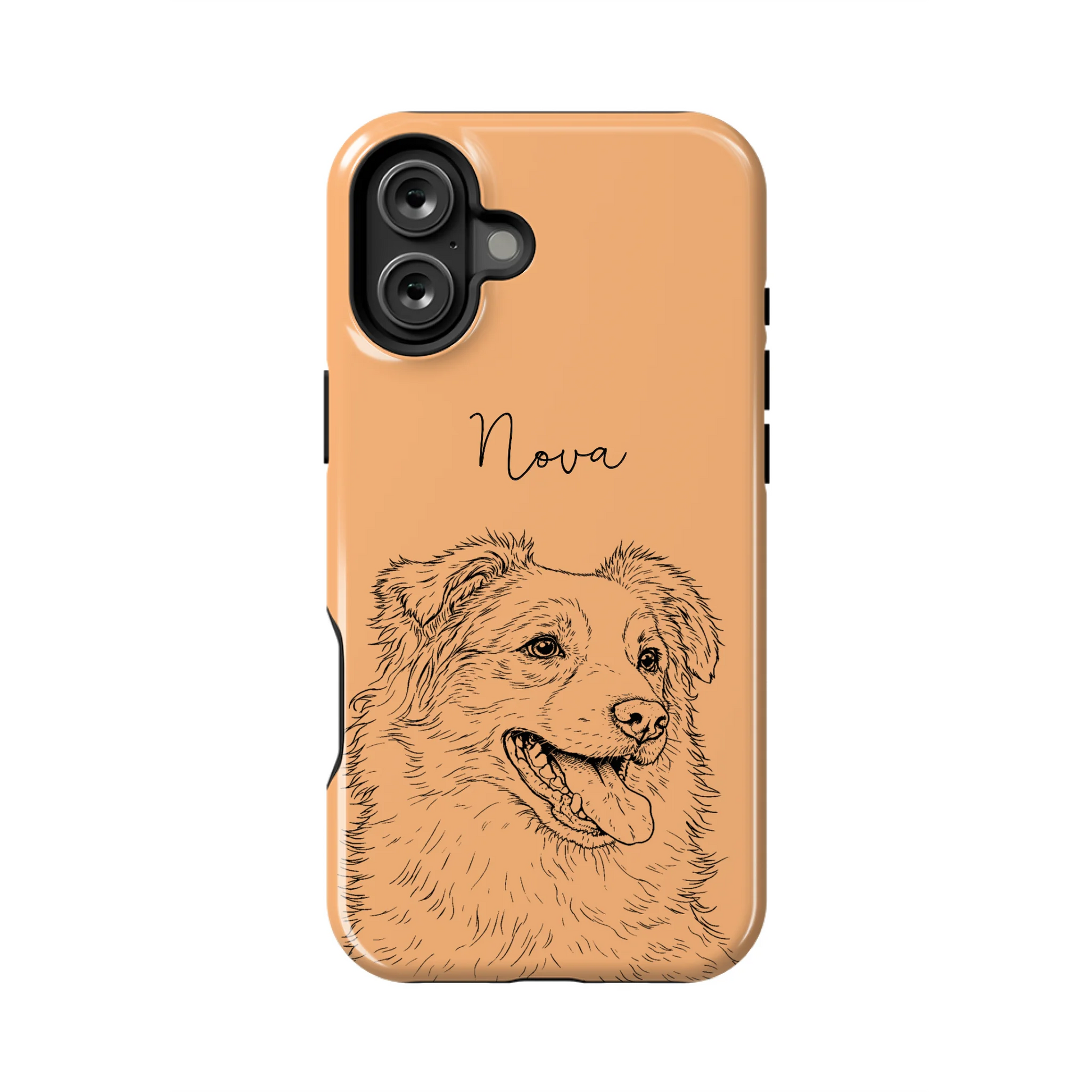 16PLT_Mockup