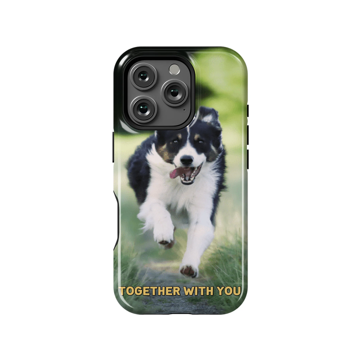 16PT_Mockup