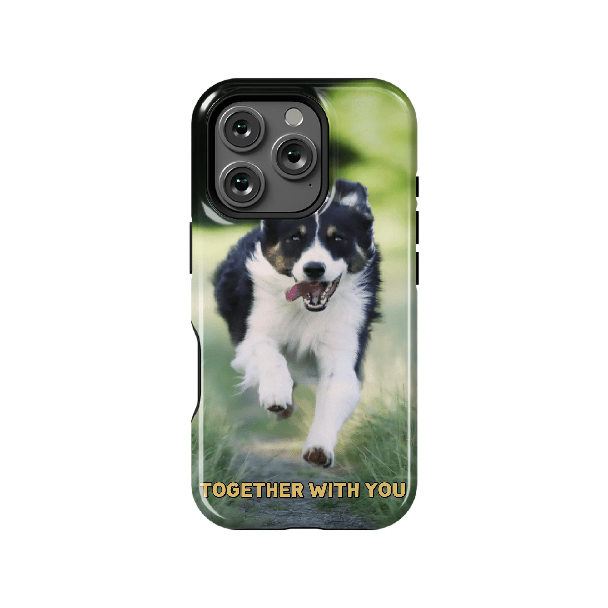 16PT_Mockup