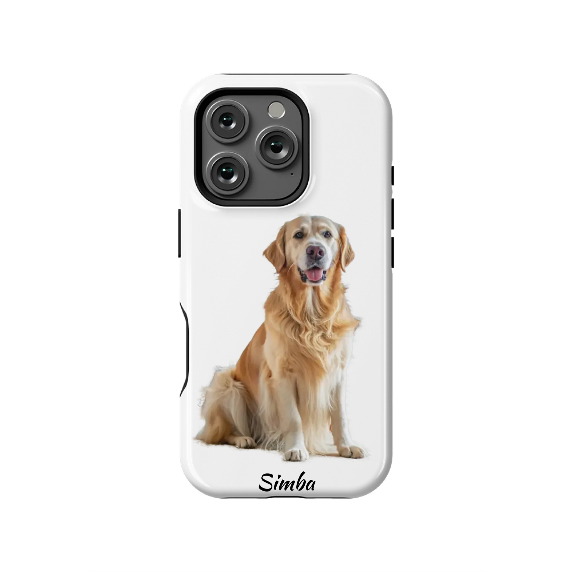 16PT_Mockup