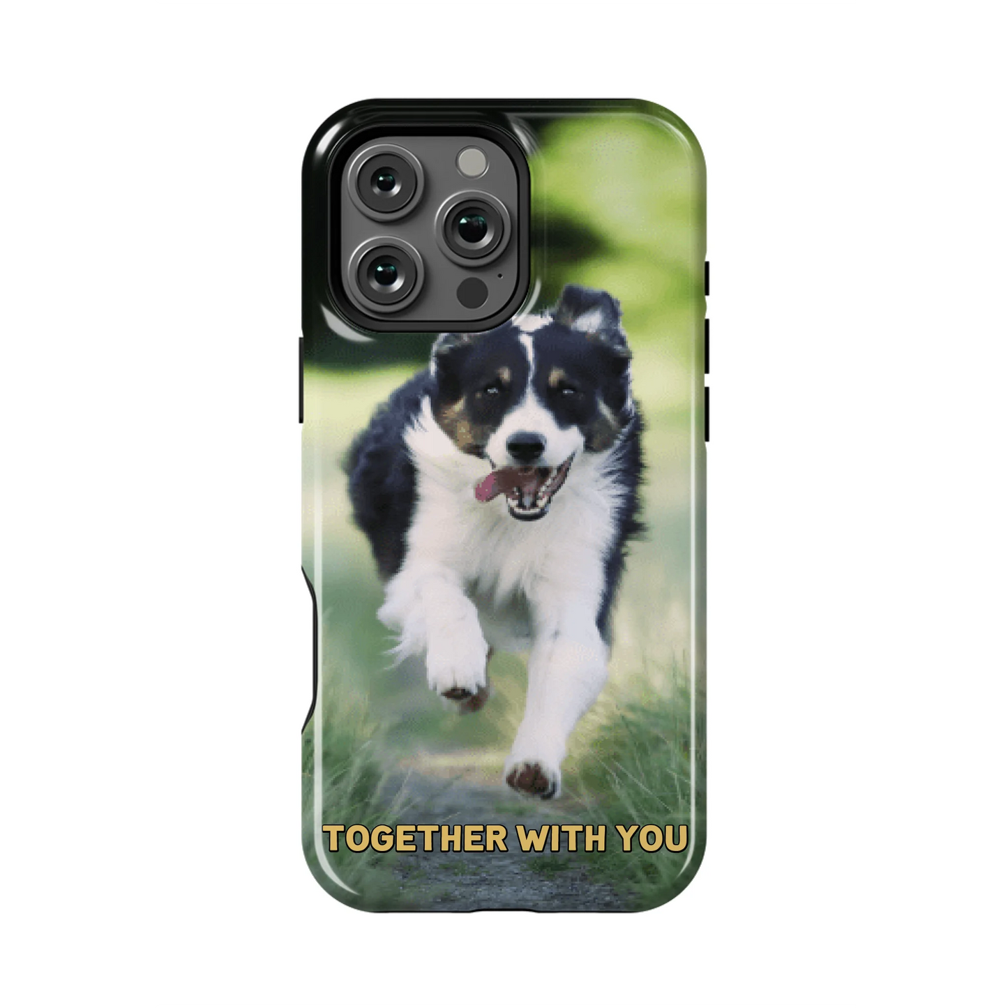 16PMT_Mockup