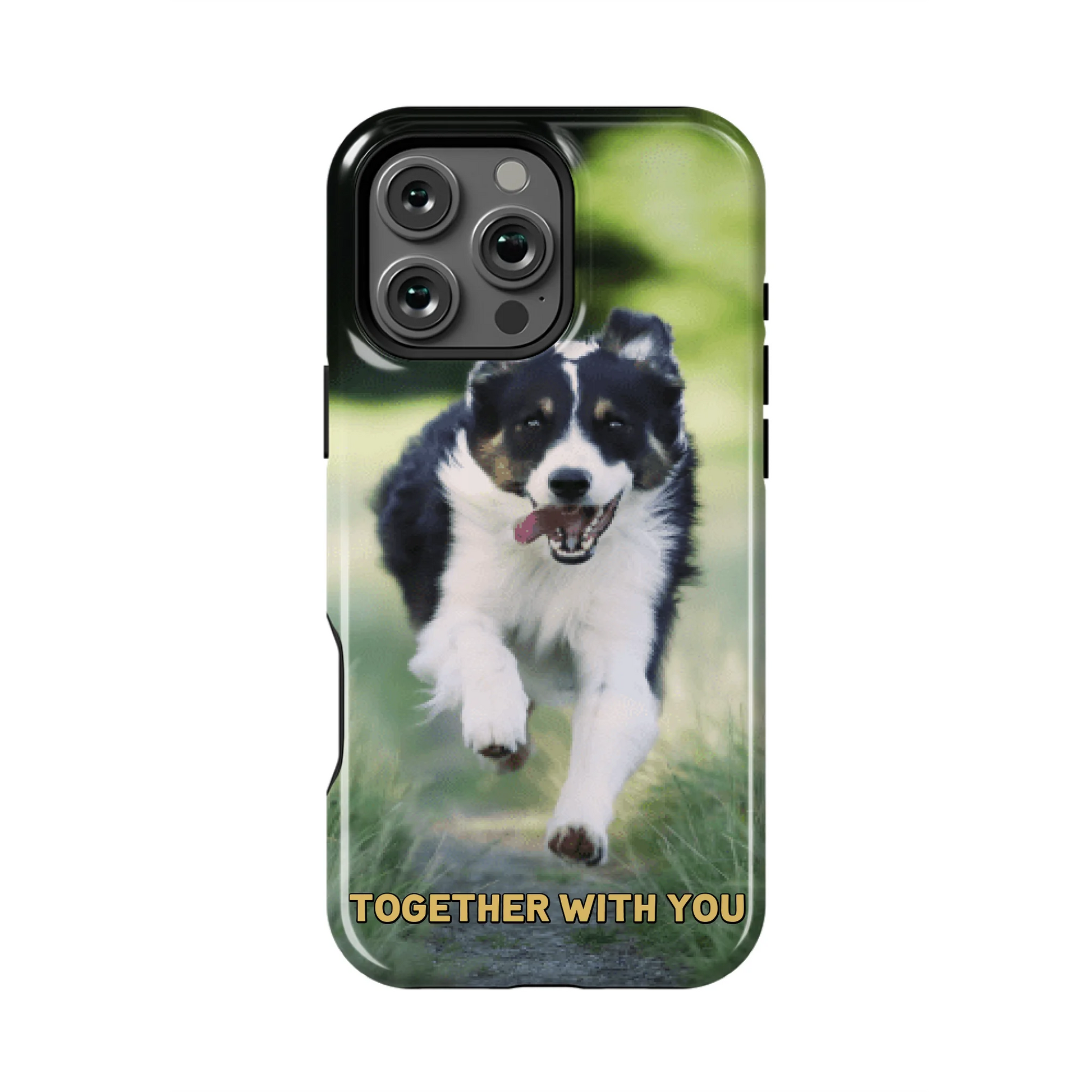 16PMT_Mockup