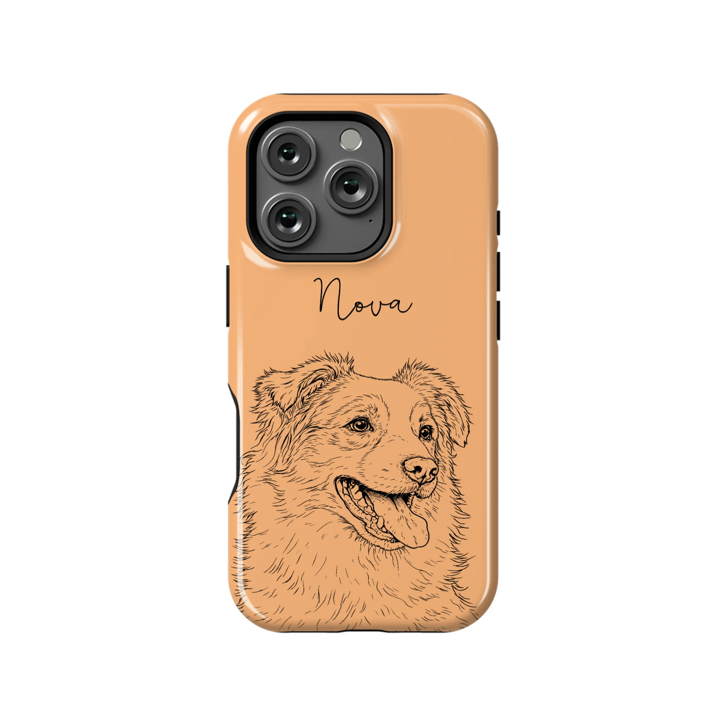16PT_Mockup