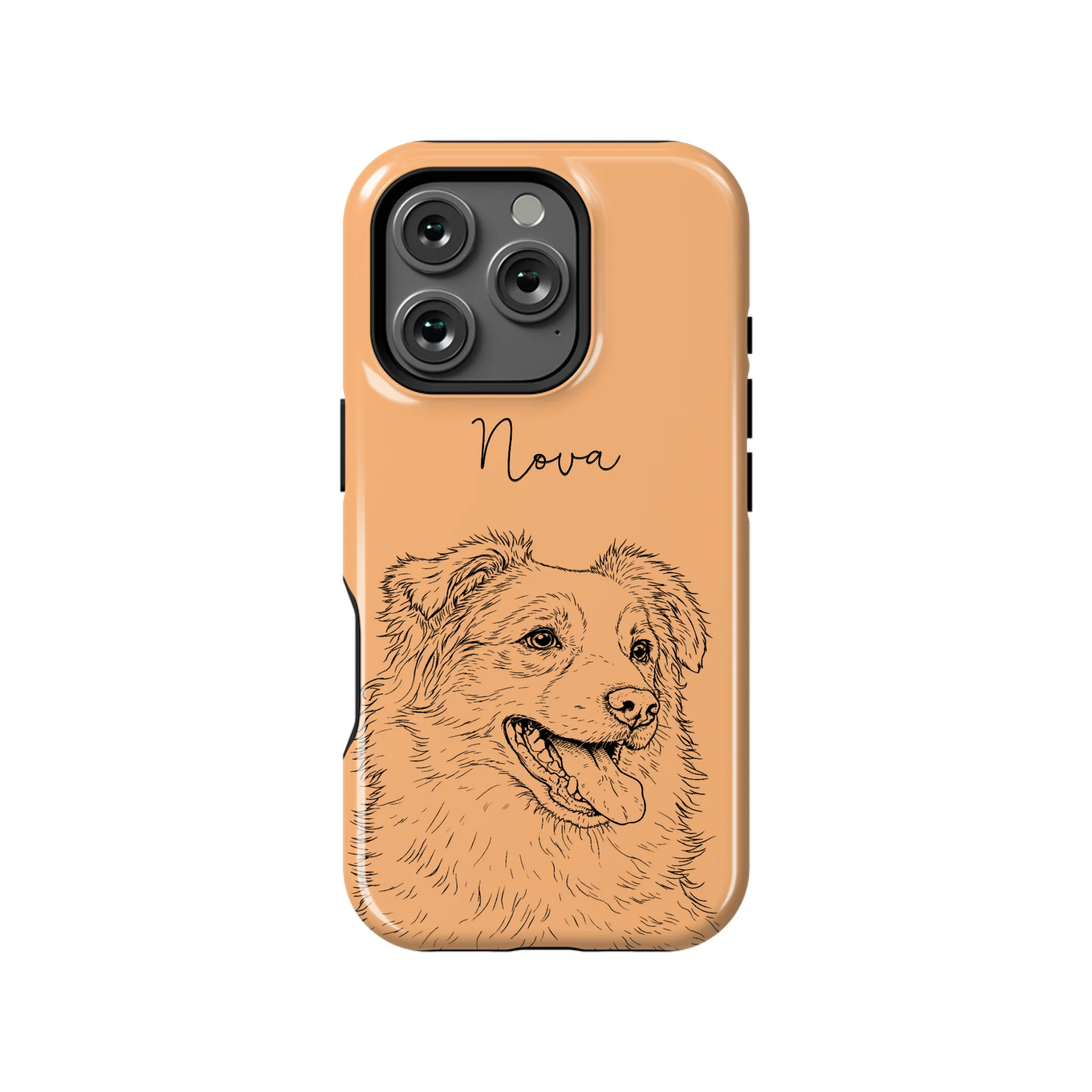 16PT_Mockup