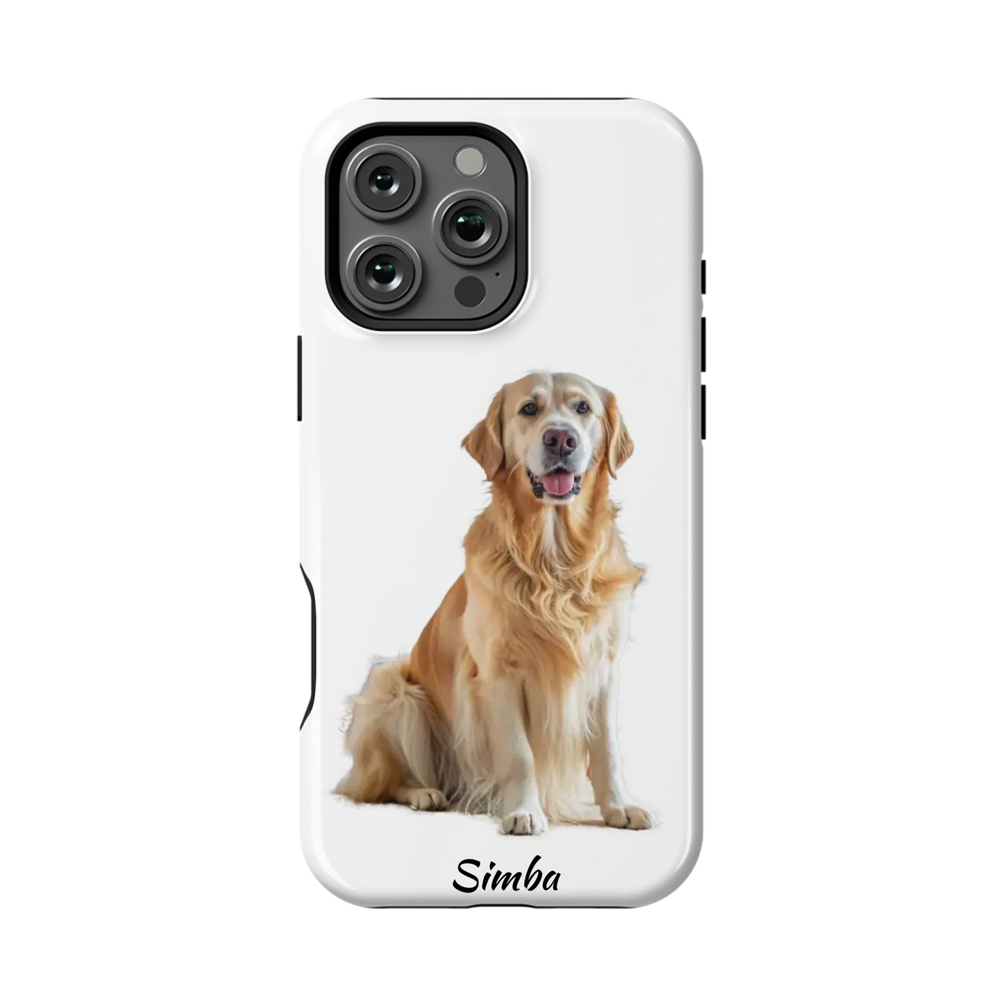 16PMT_Mockup