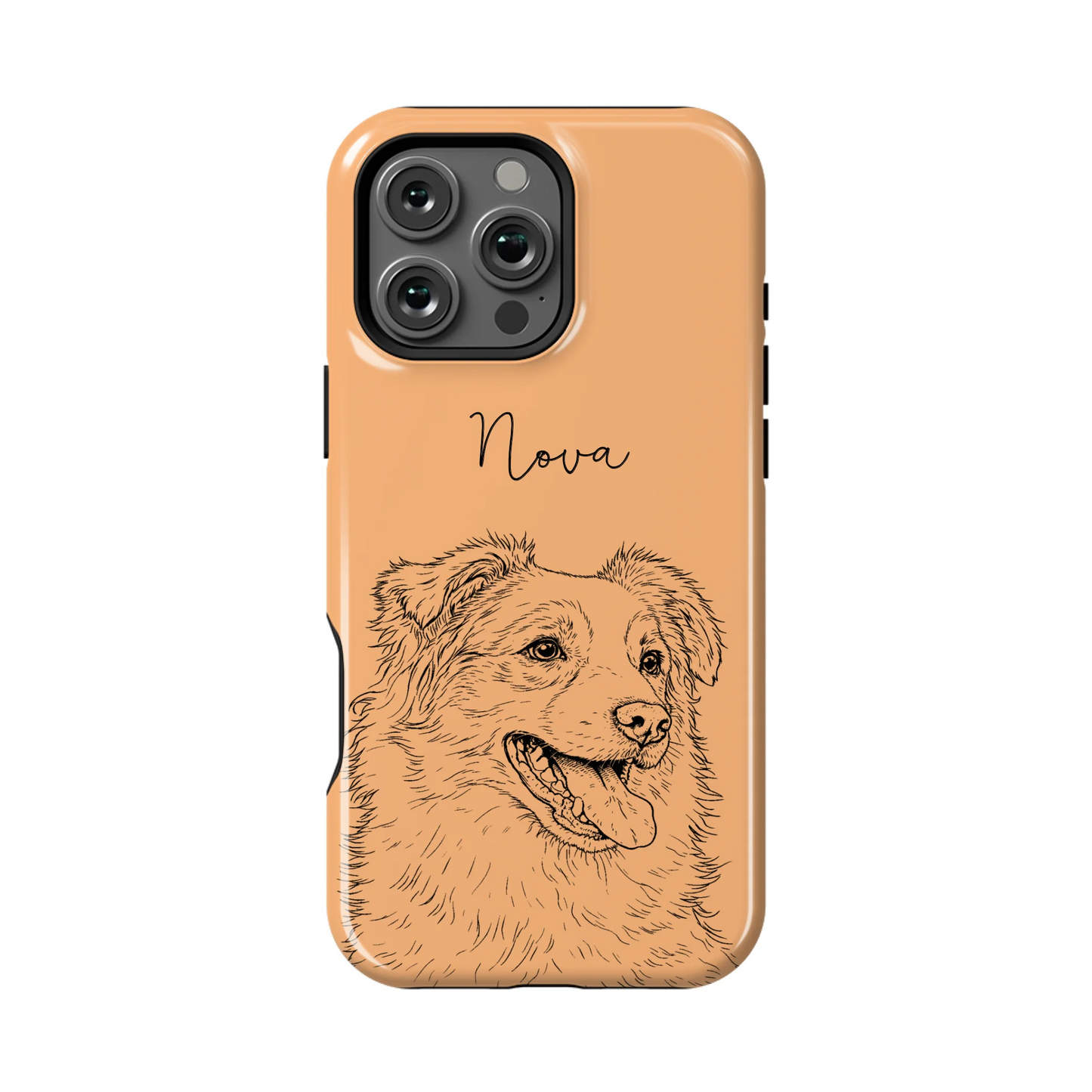 16PMT_Mockup