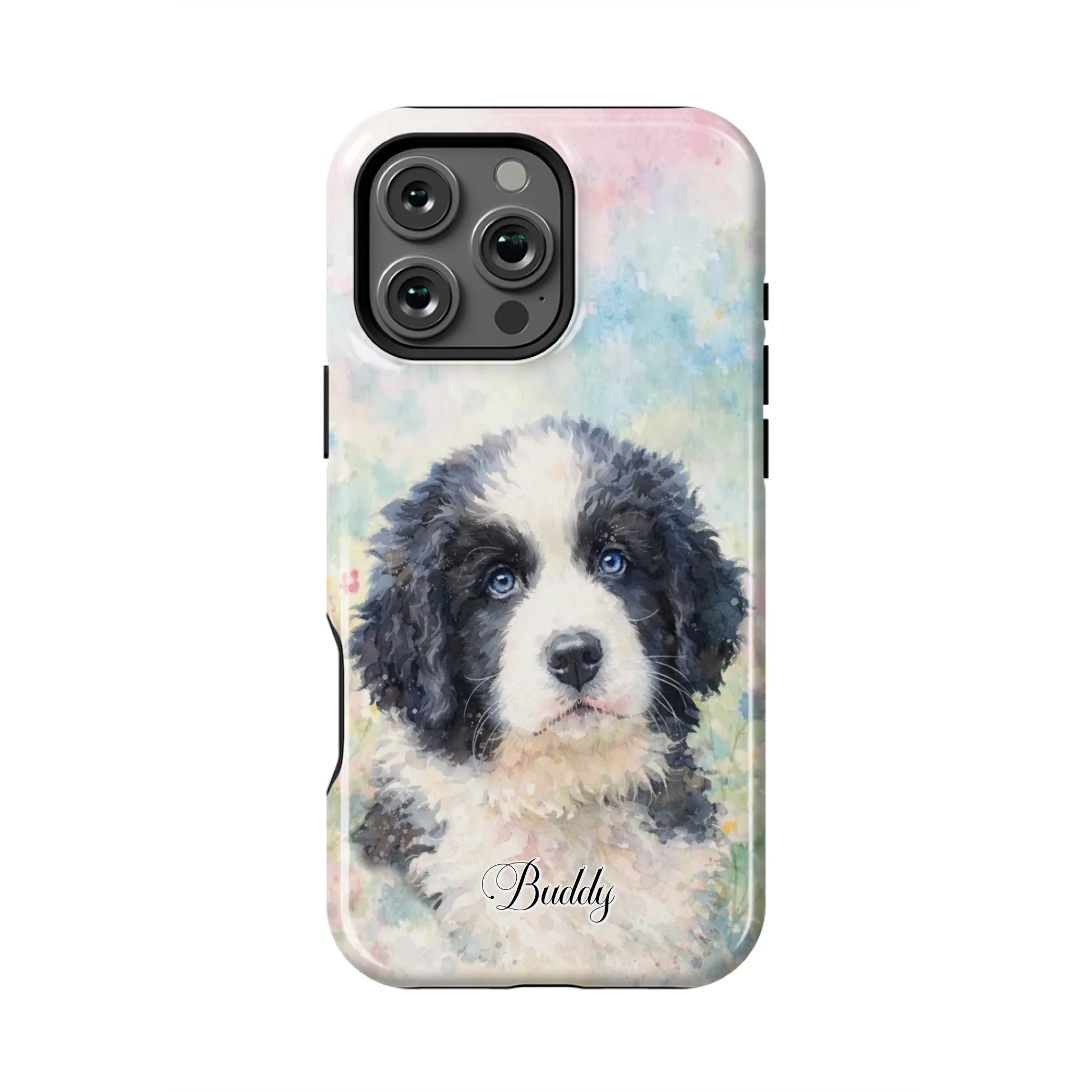 16PMT_Mockup
