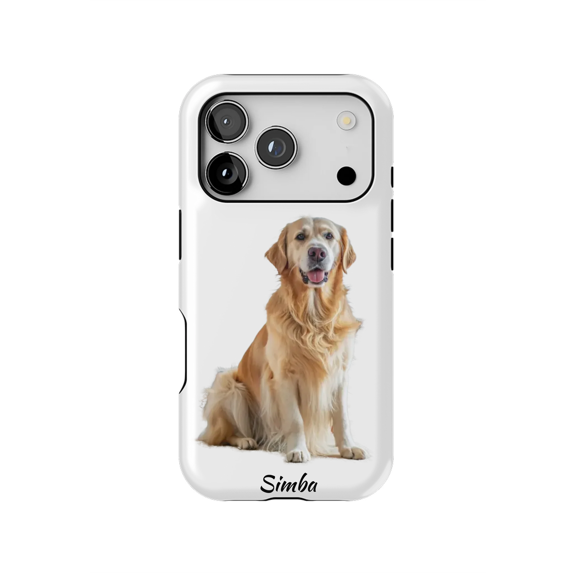 17PT_Mockup