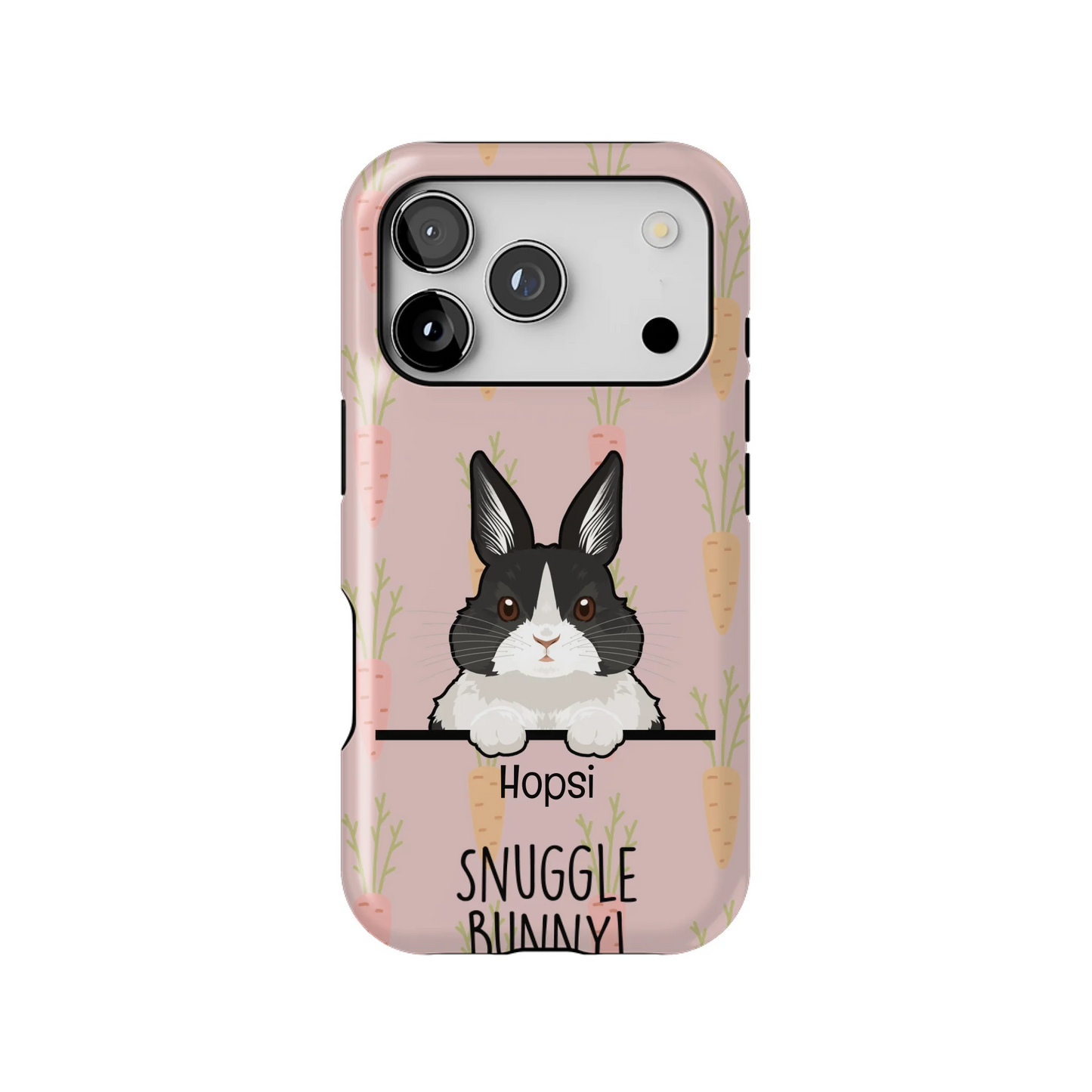 17PT_Mockup