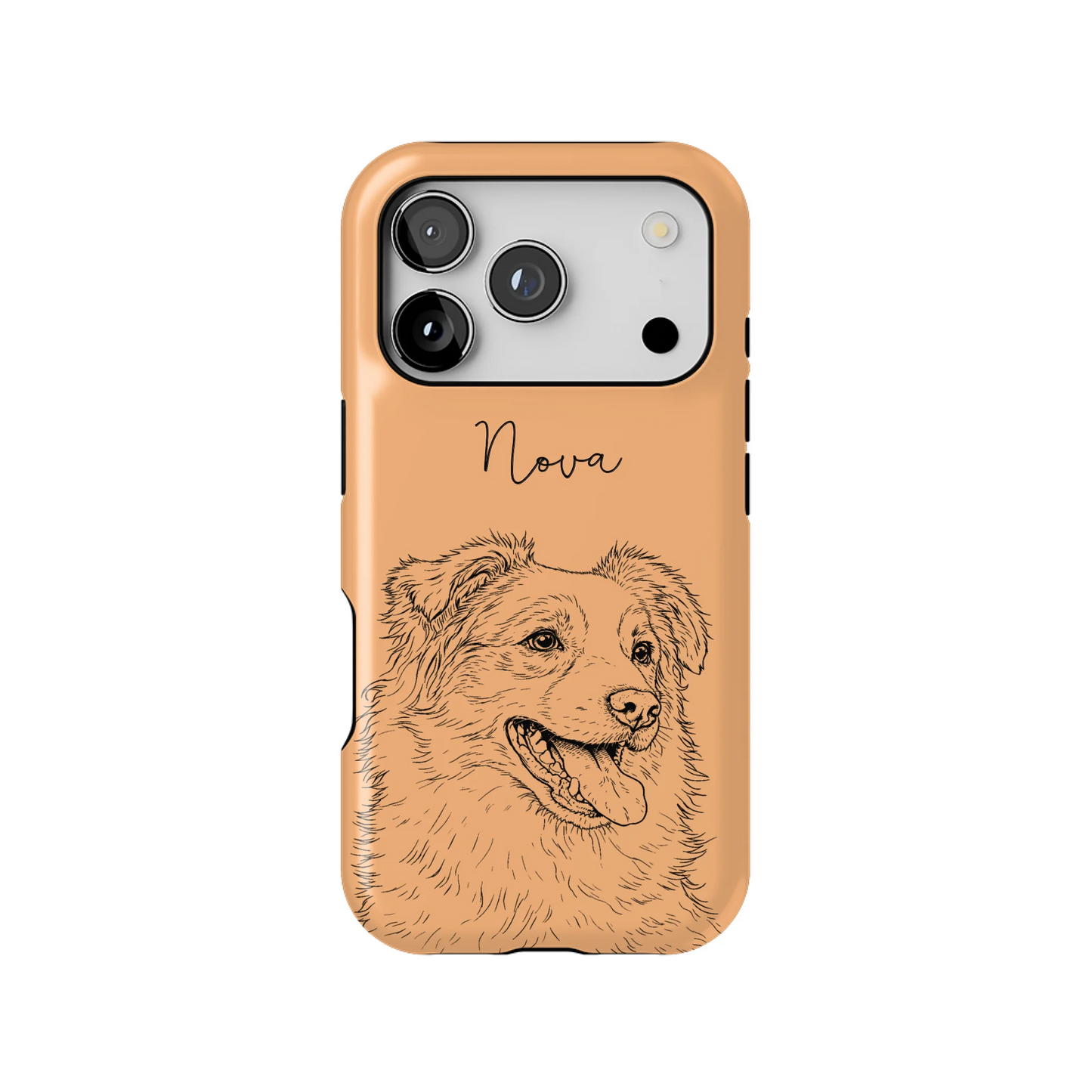 17PT_Mockup