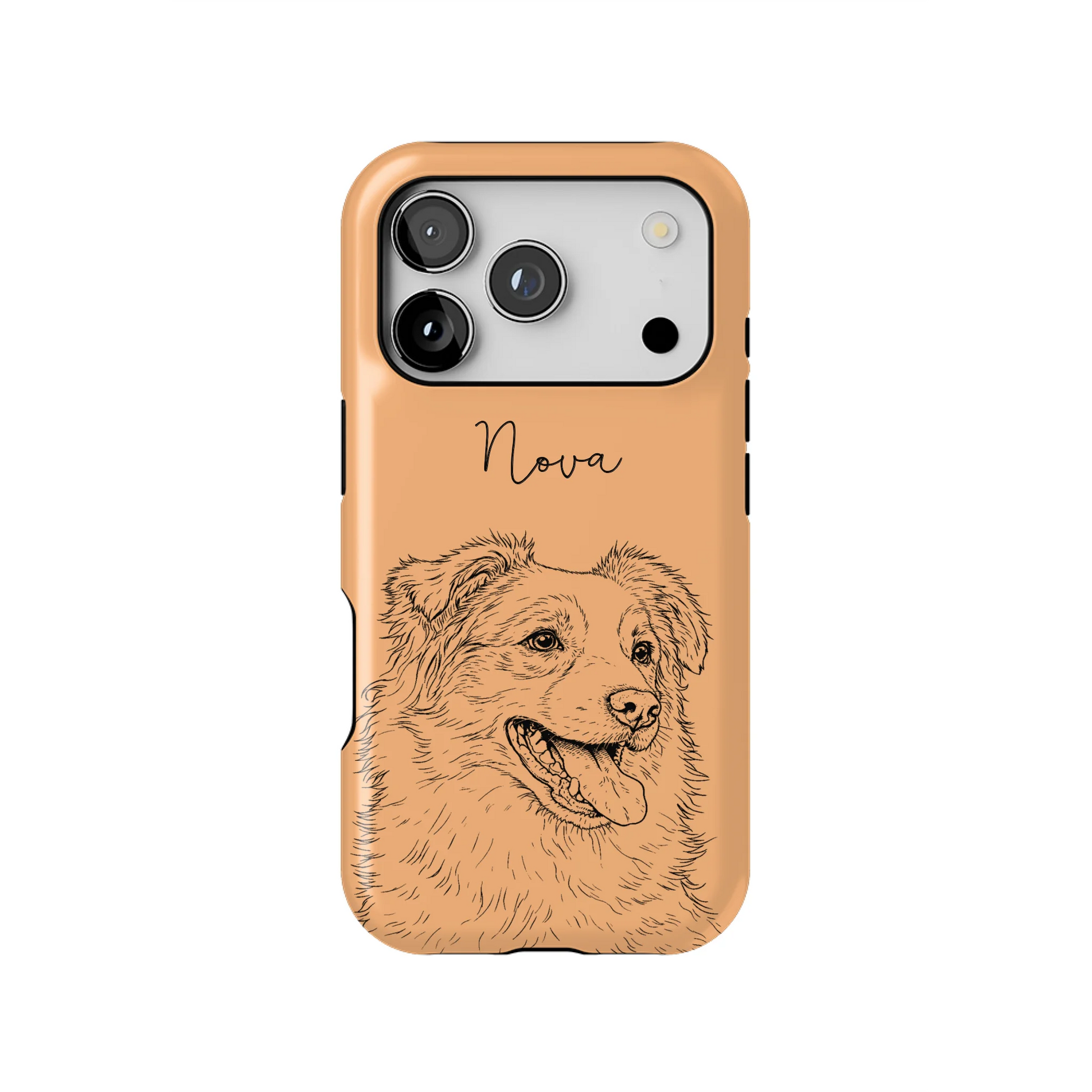 17PT_Mockup