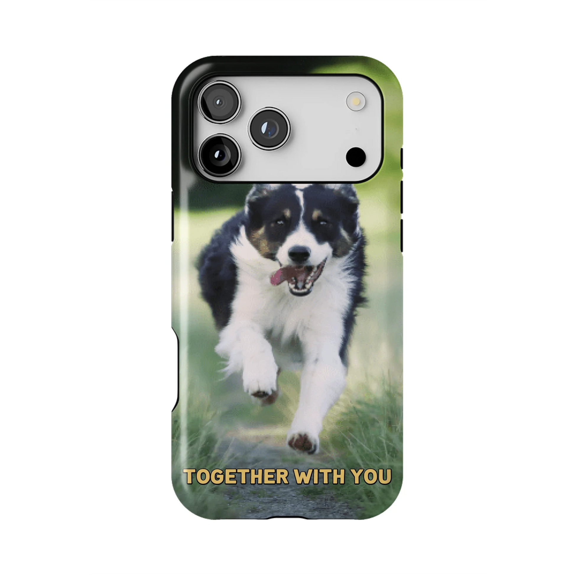 17PMT_Mockup