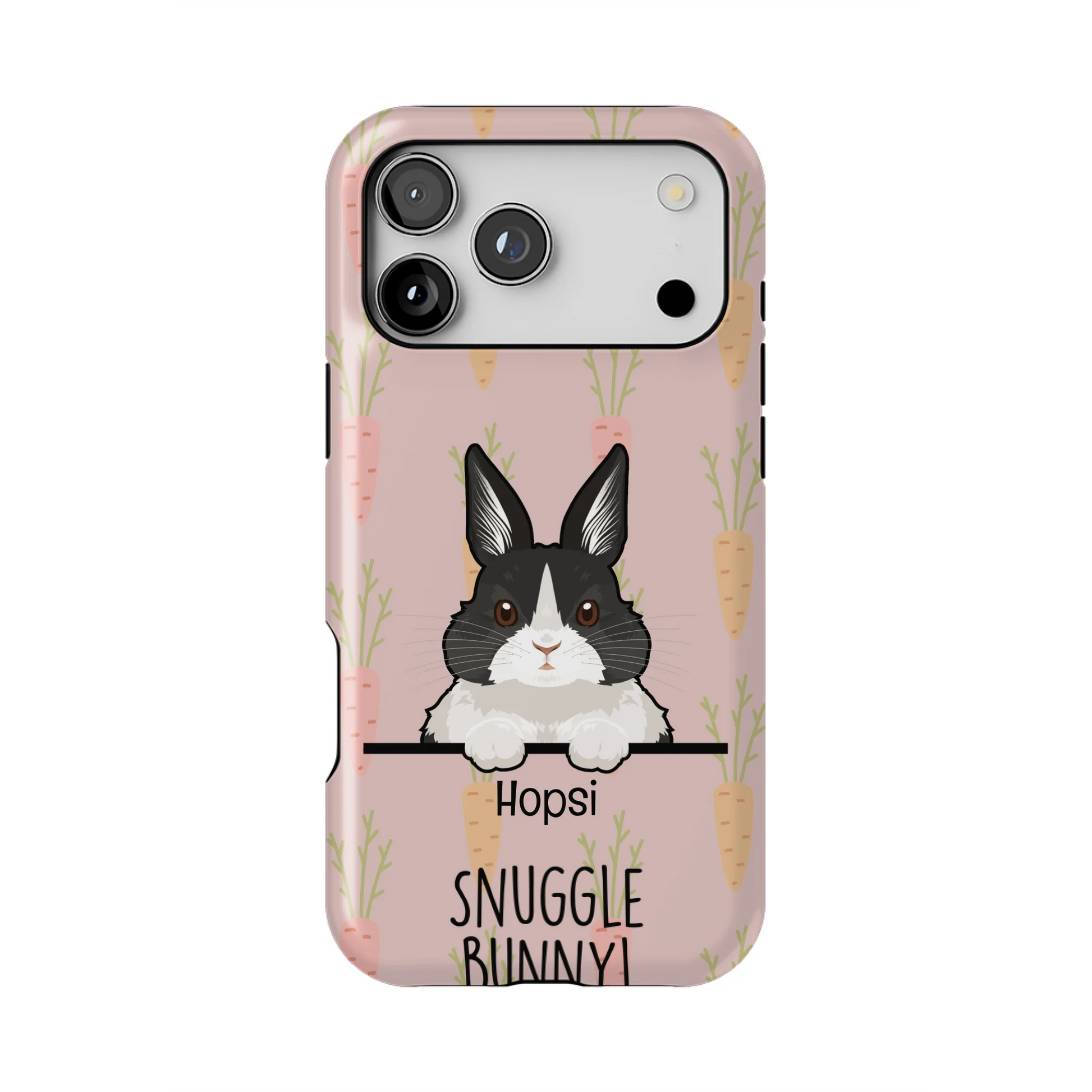 17PMT_Mockup