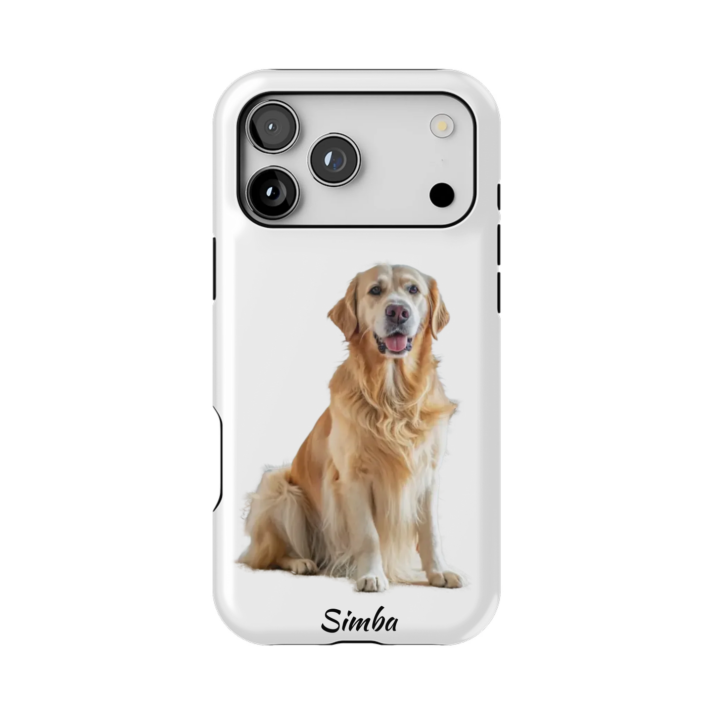 17PMT_Mockup