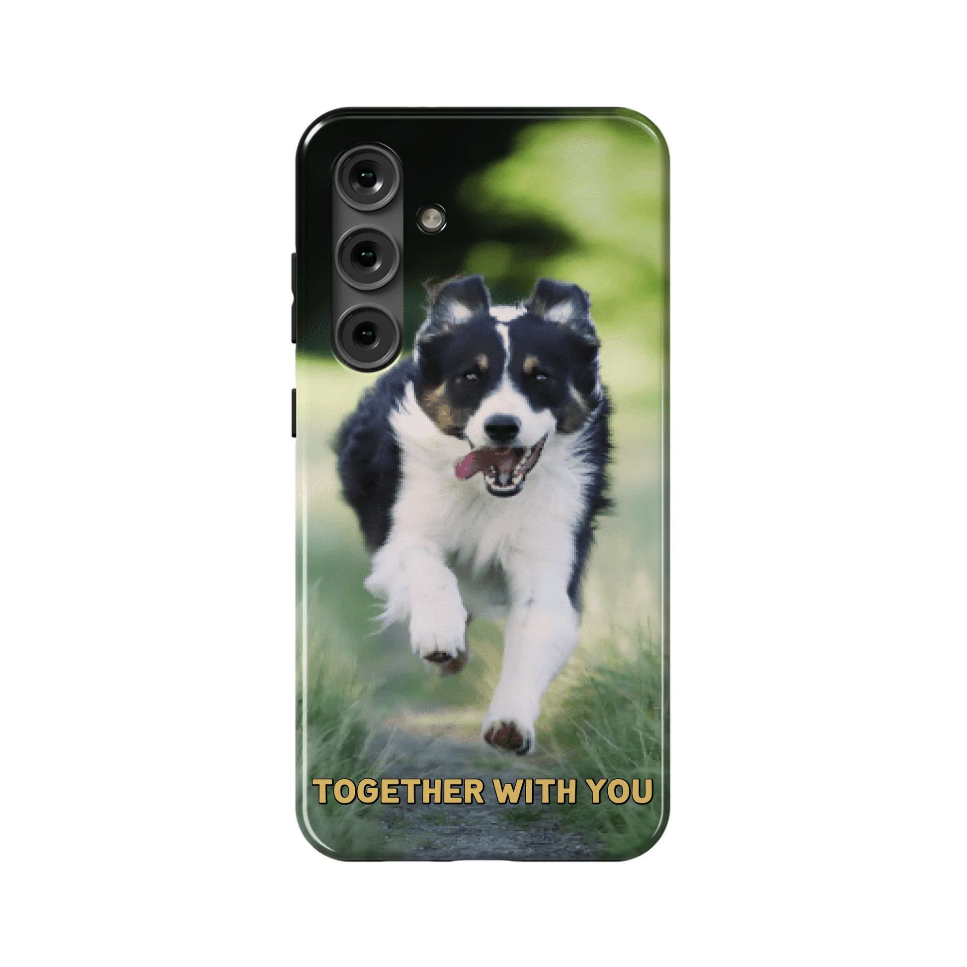 S24PT_Mockup