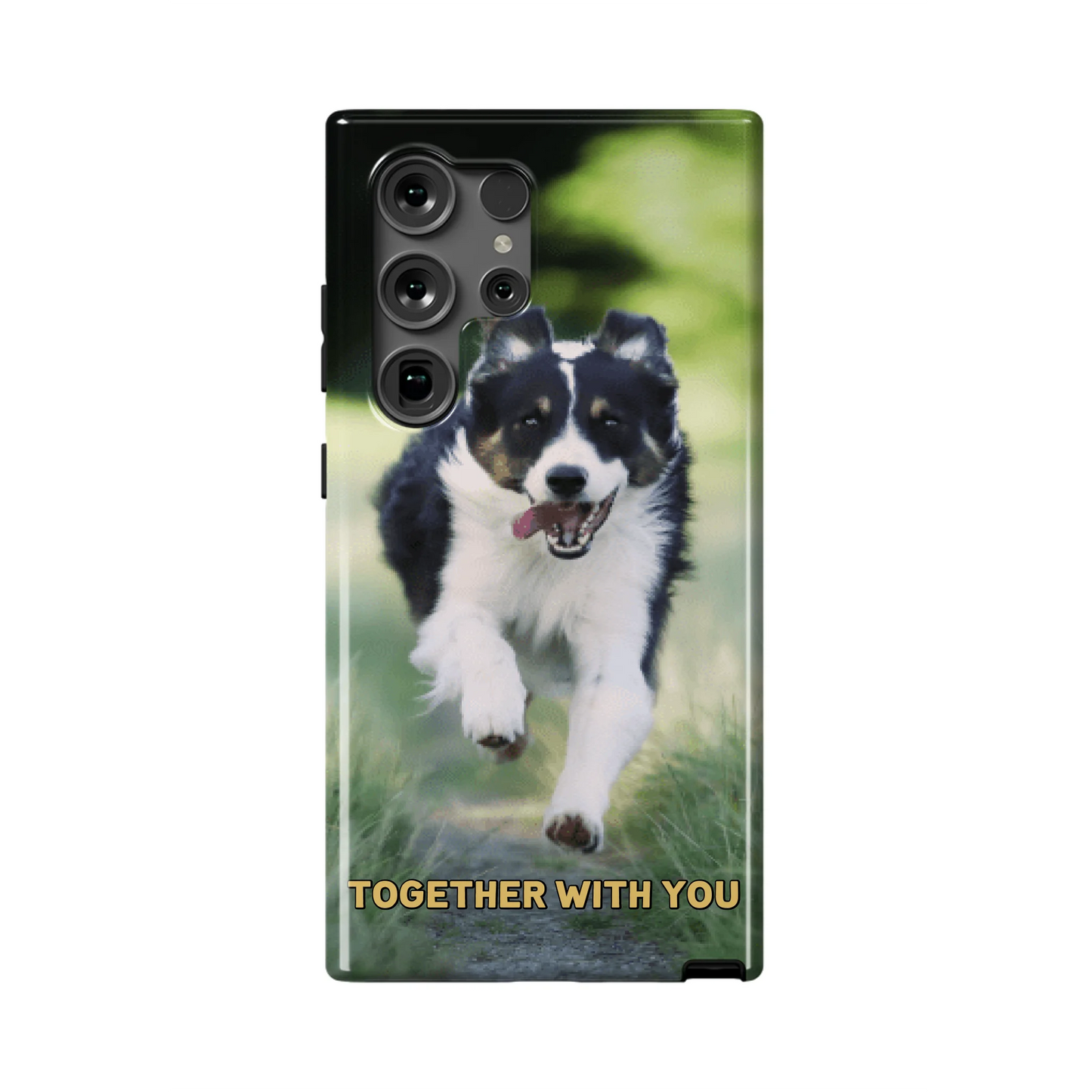 S24UT_Mockup