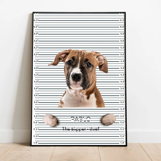 Mugshot - Personalized Poster