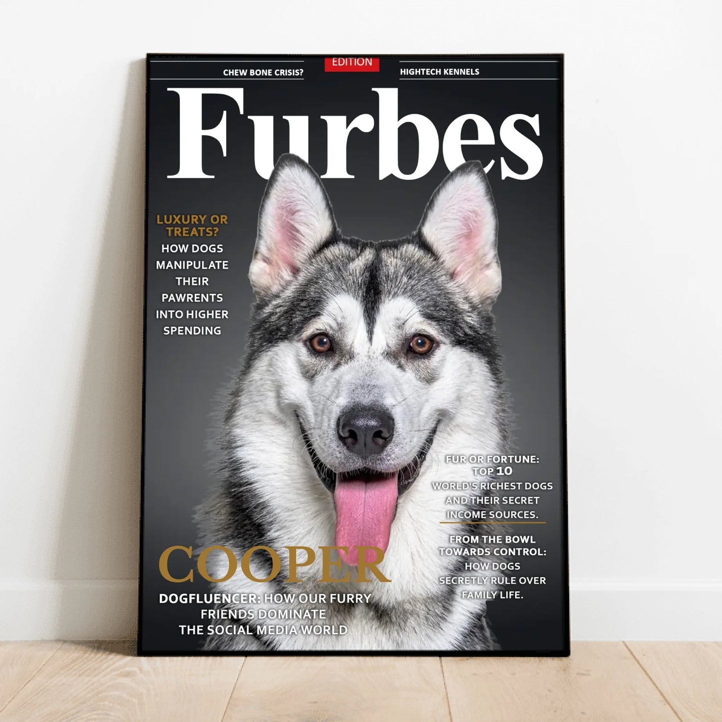 Furbes - Personalized poster
