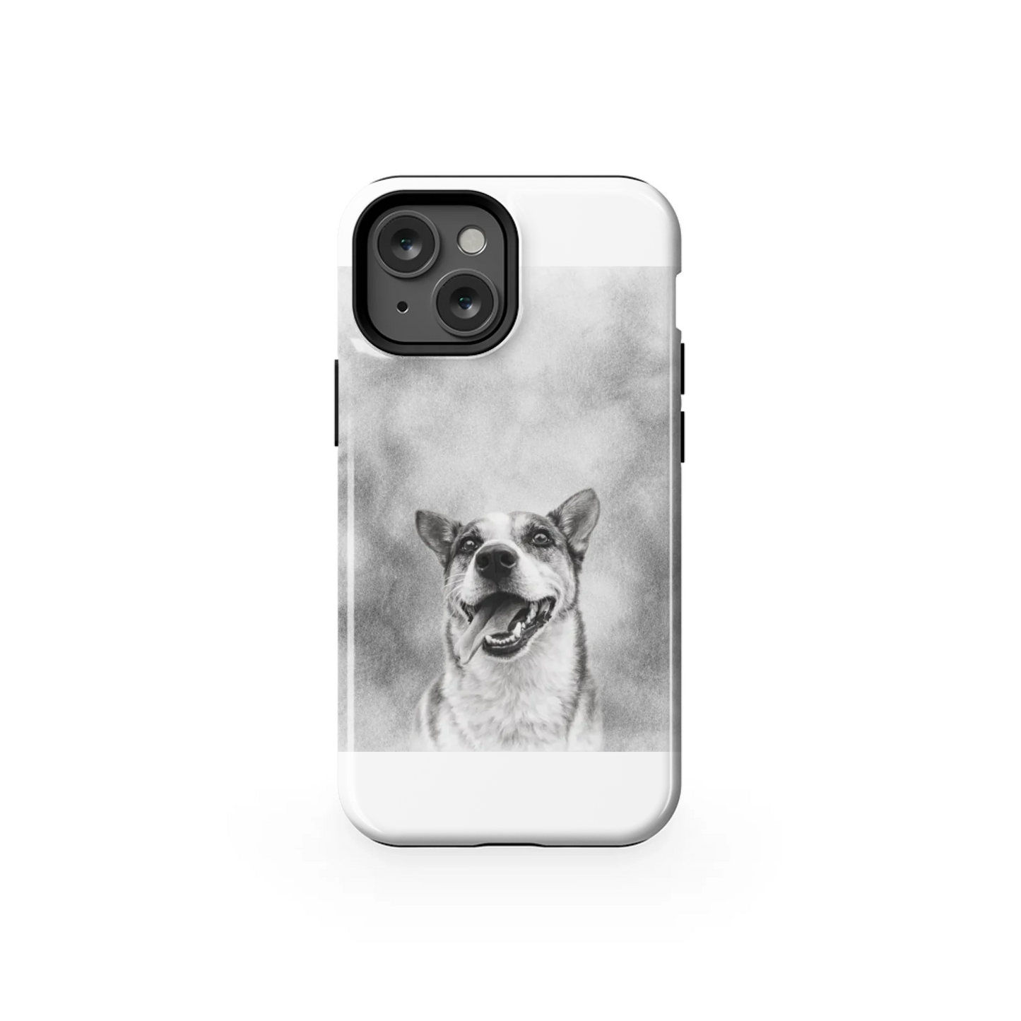 13MT_Mockup