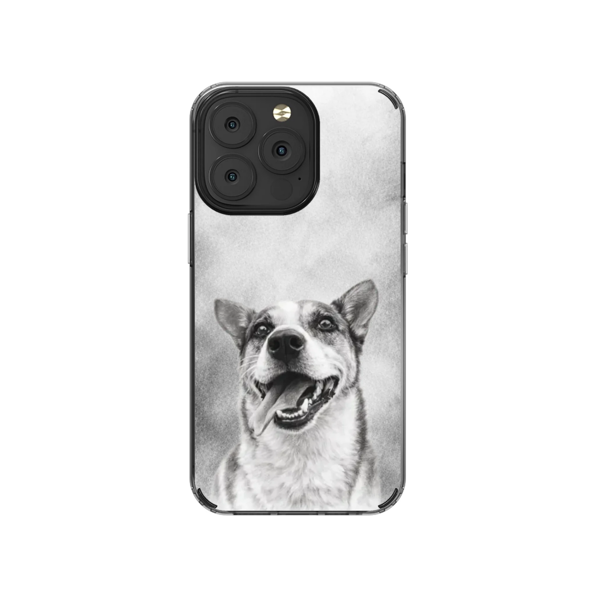 13P-C_Mockup