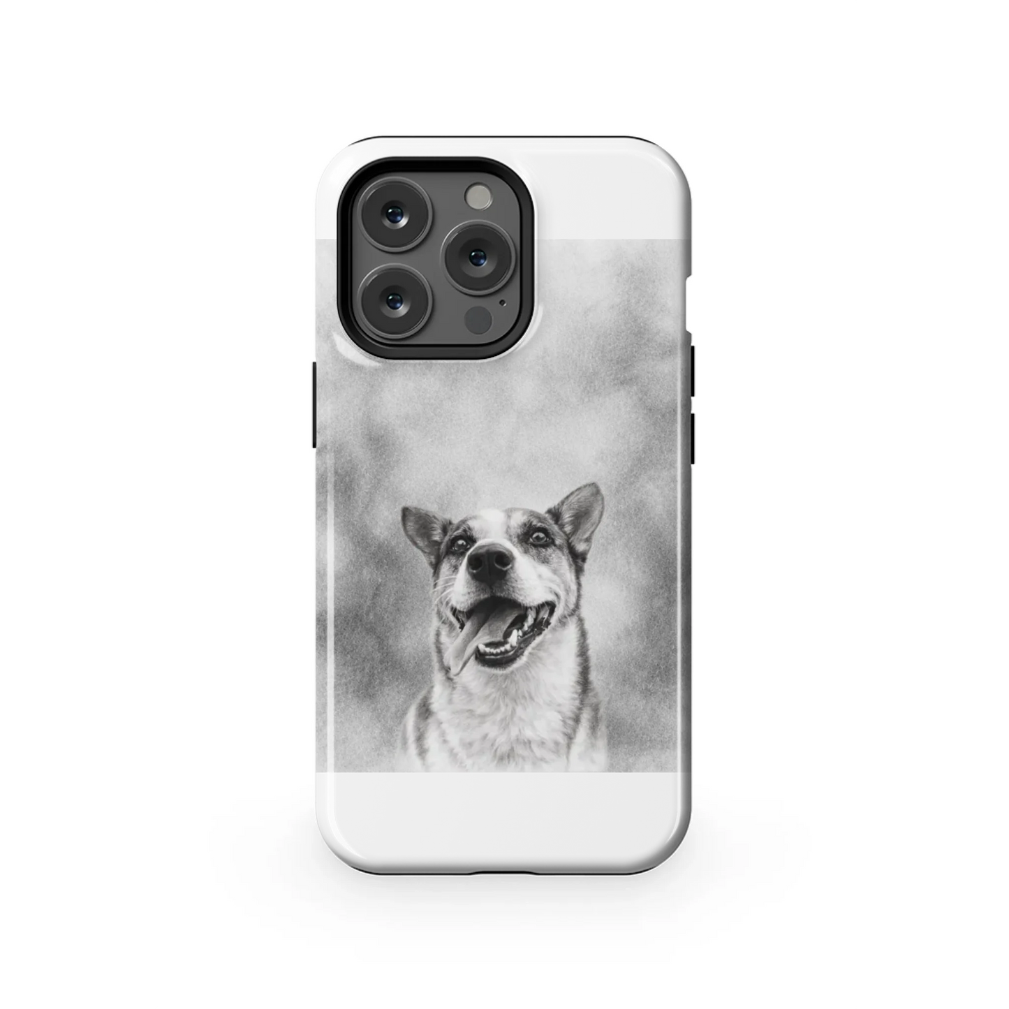 13PT_Mockup