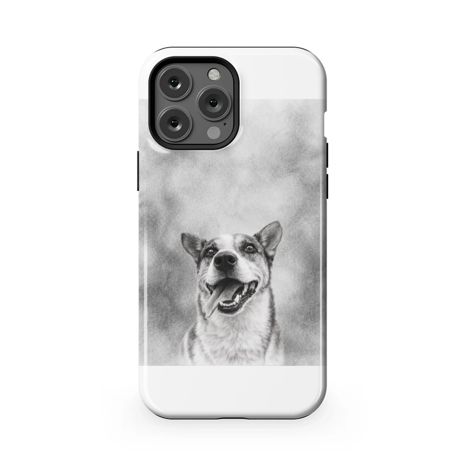 13PMT_Mockup