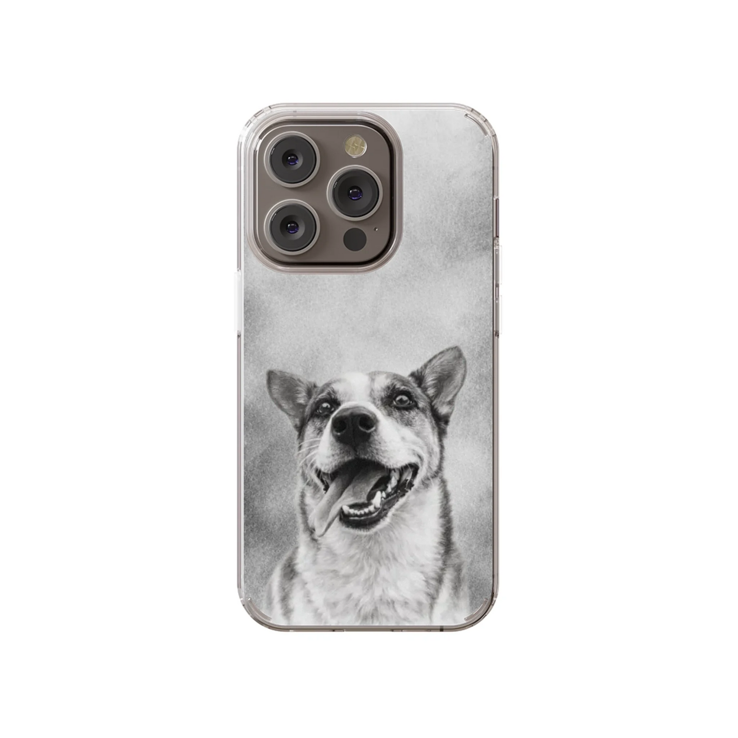 14P-C_Mockup